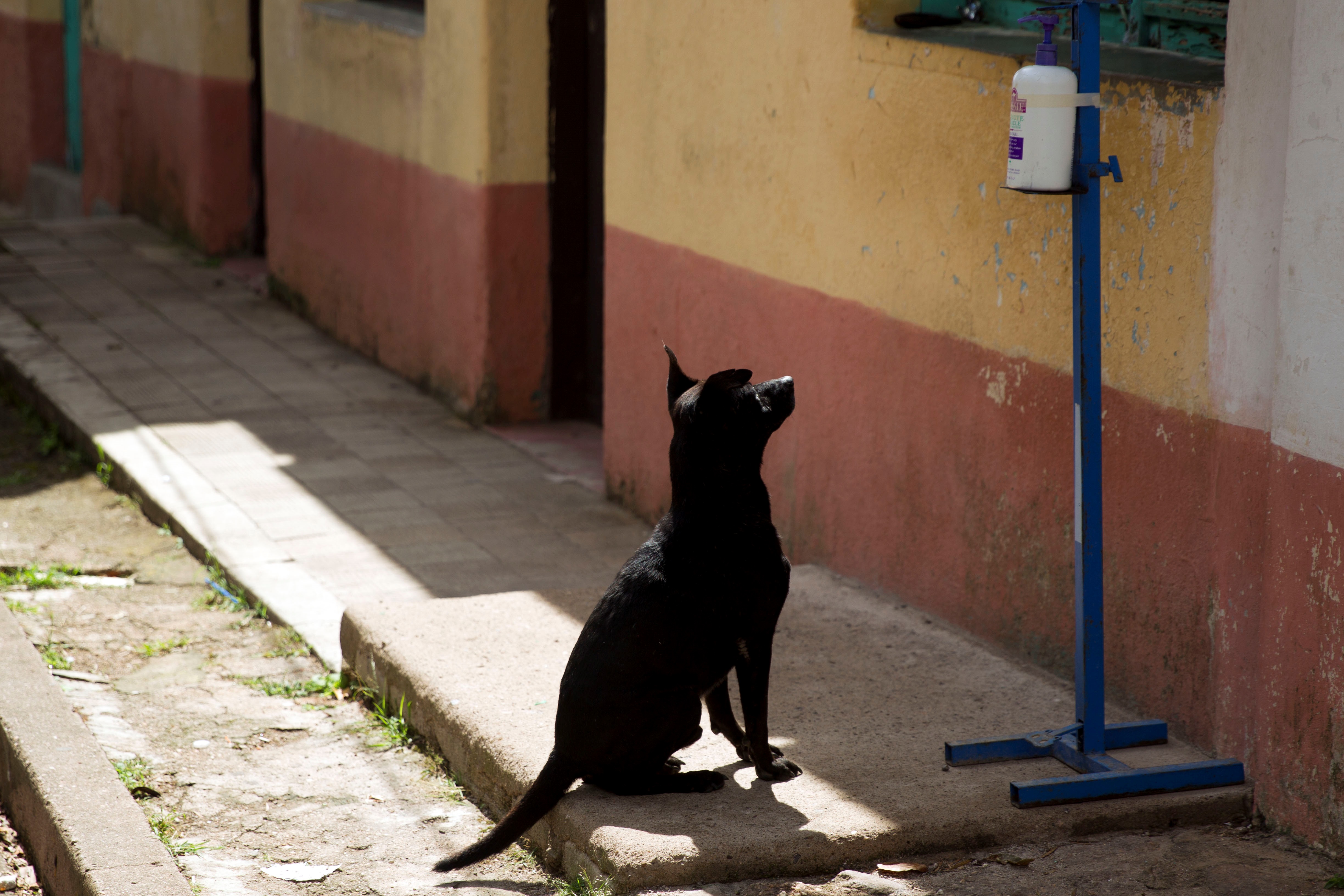 Honduras lost $1.3 billion and 100,000 jobs in the tourism sector in 2020