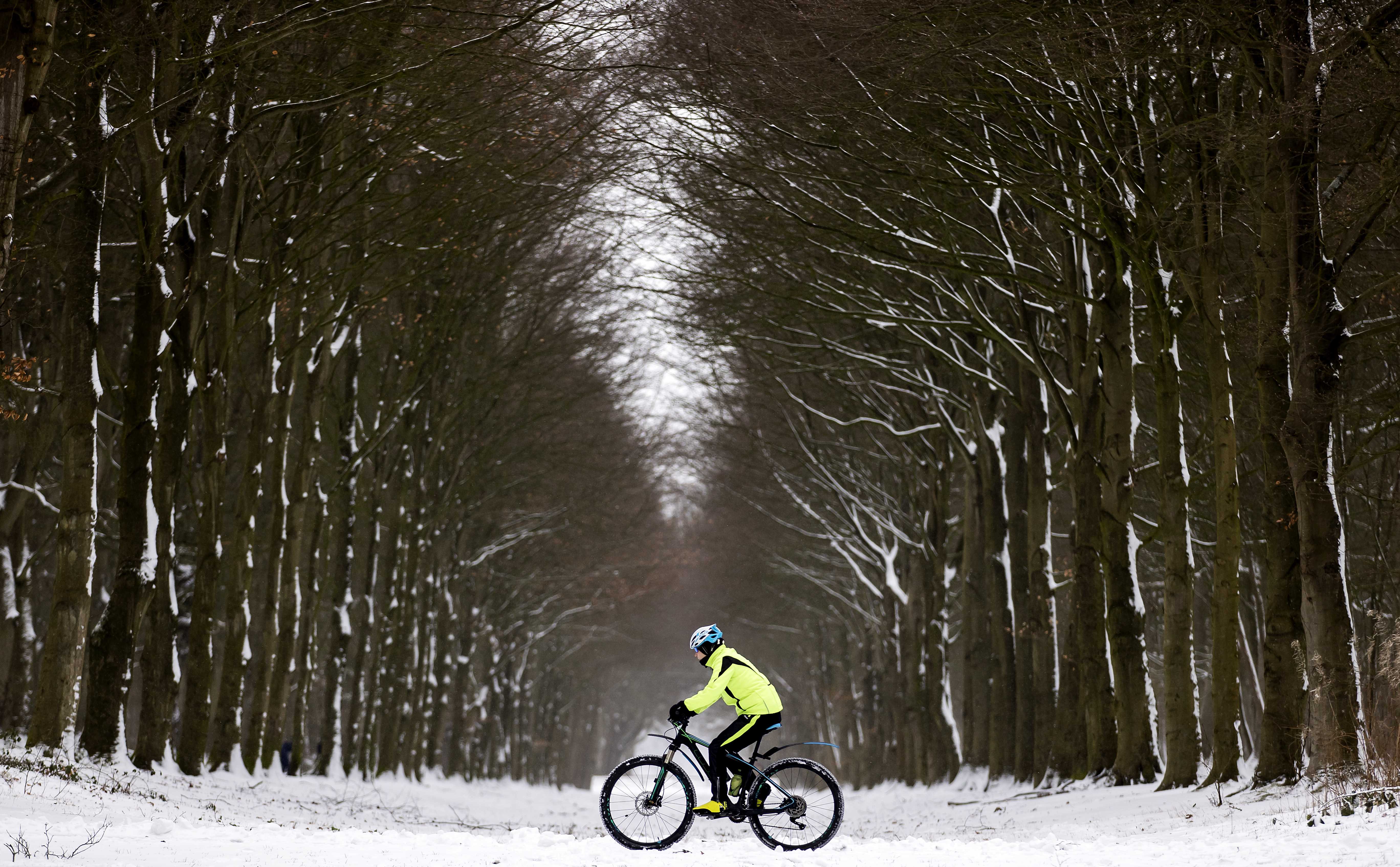 The Netherlands awakens in a snowy landscape