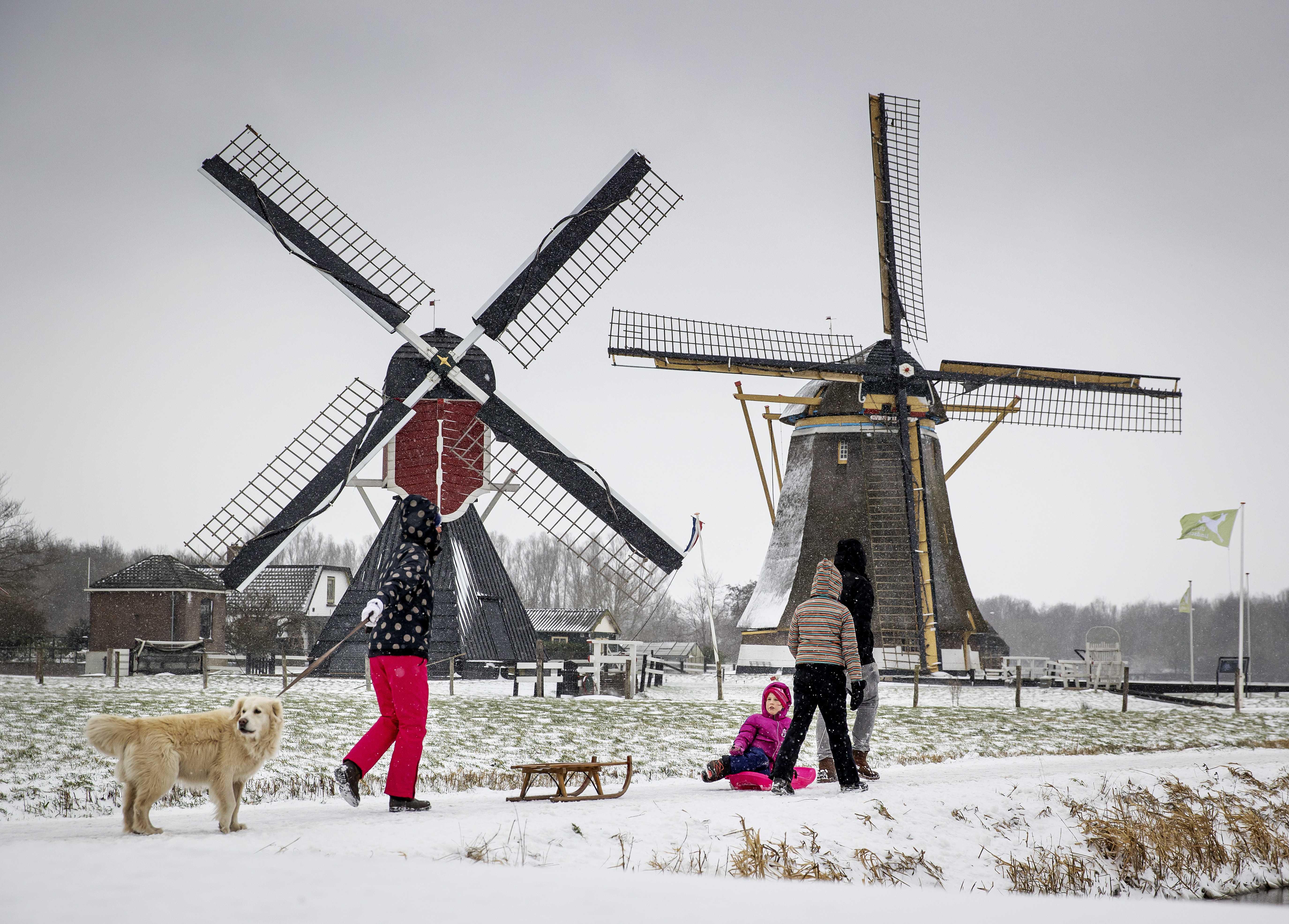 The Netherlands awakens in a snowy landscape holandija sneg
