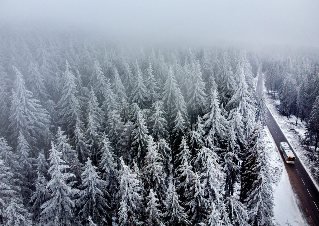 A bus drives along frozen trees in Oberreifenberg near Frankfurt, Germany, Monday, Feb. 8, 2021. Parts of Germany are hit by strong winter weather. (AP Photo/Michael Probst)