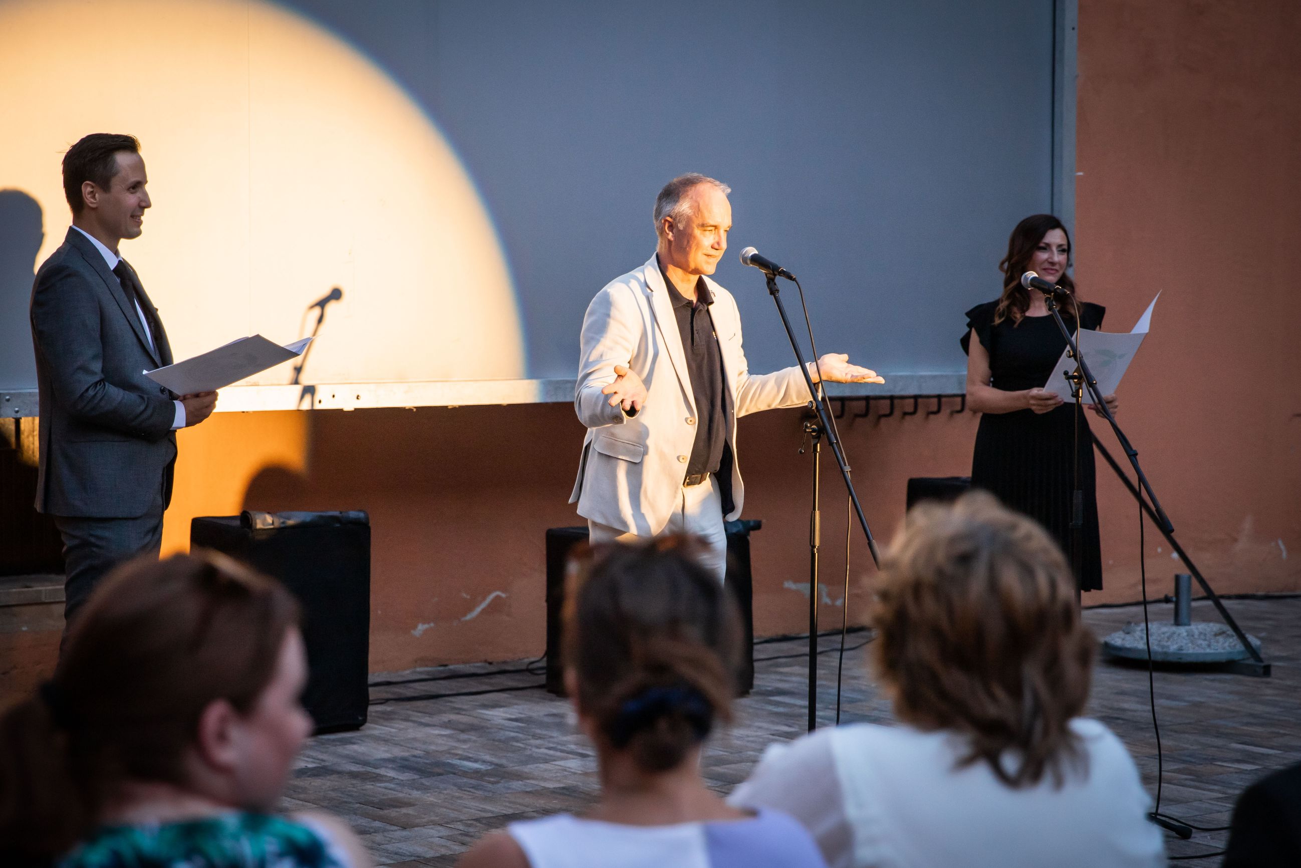 Somborski filmski festival 3