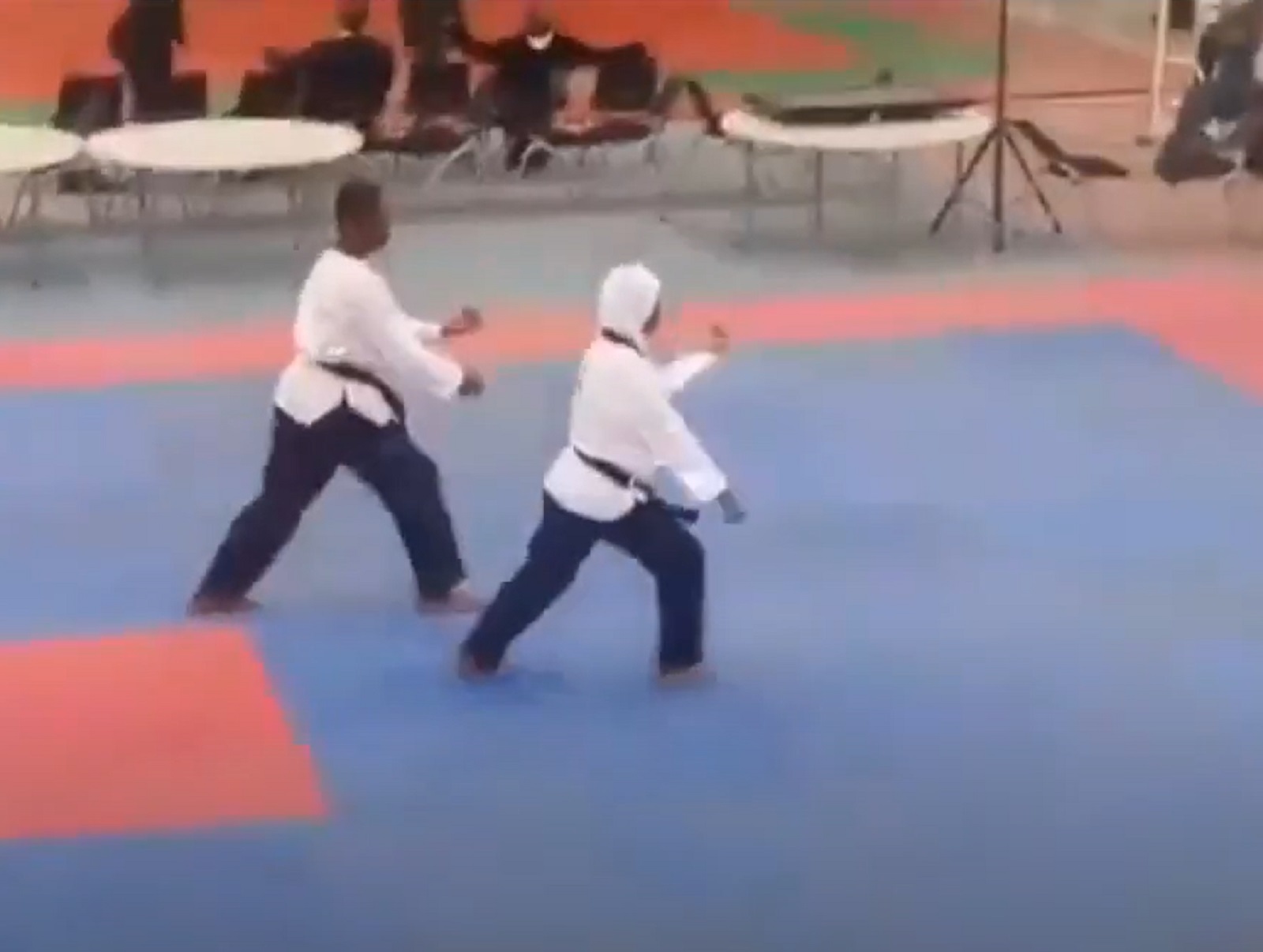 aminat tekvondo trudnica