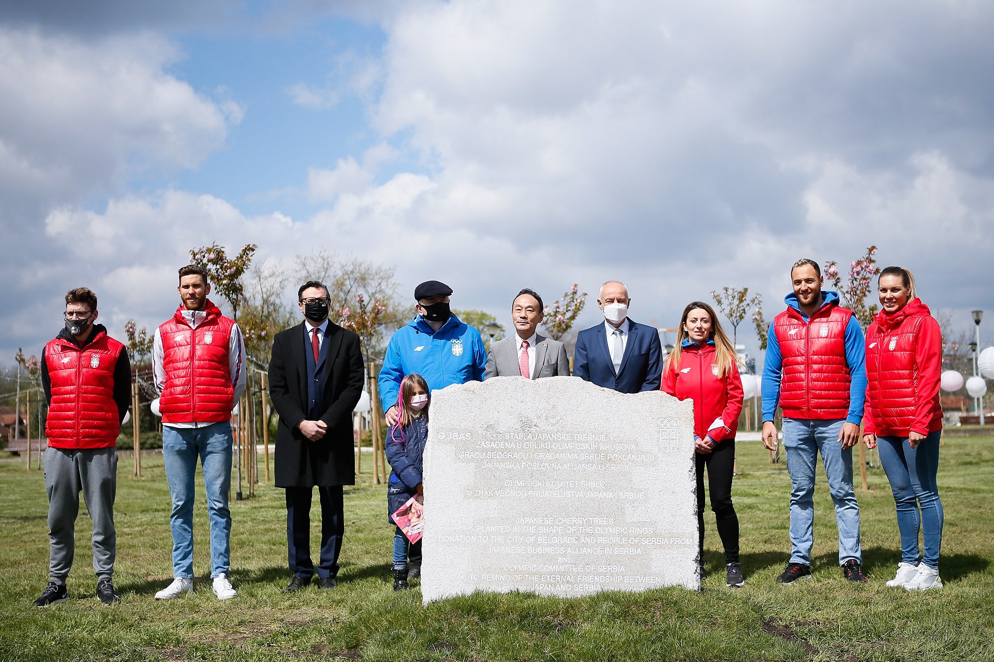 Olimpijski krugovi od stabala trešnje, trešnja, trešnje, stabla Foto: Olimpijski komitet Srbije/Promo