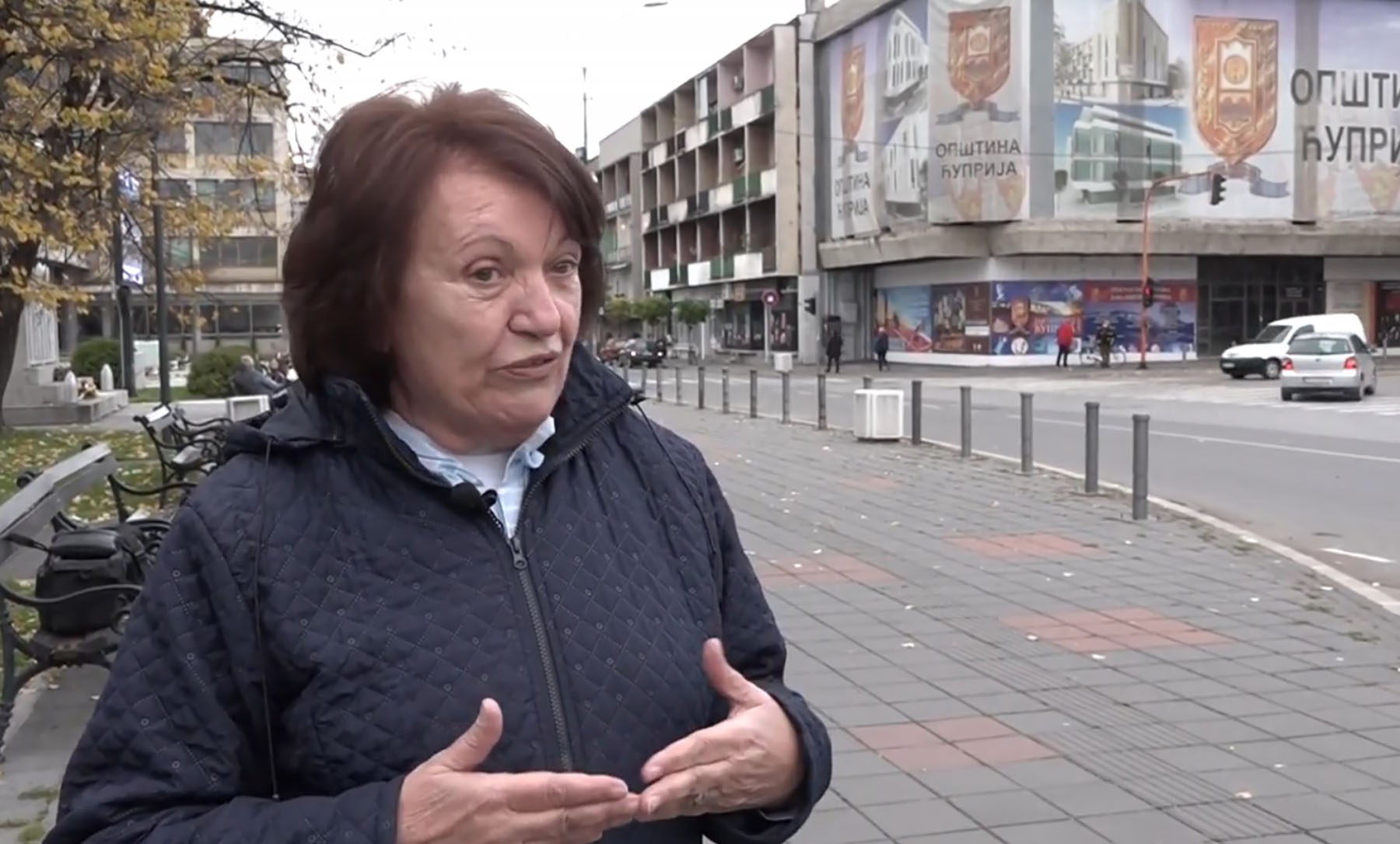 vera nikolic casic (2)