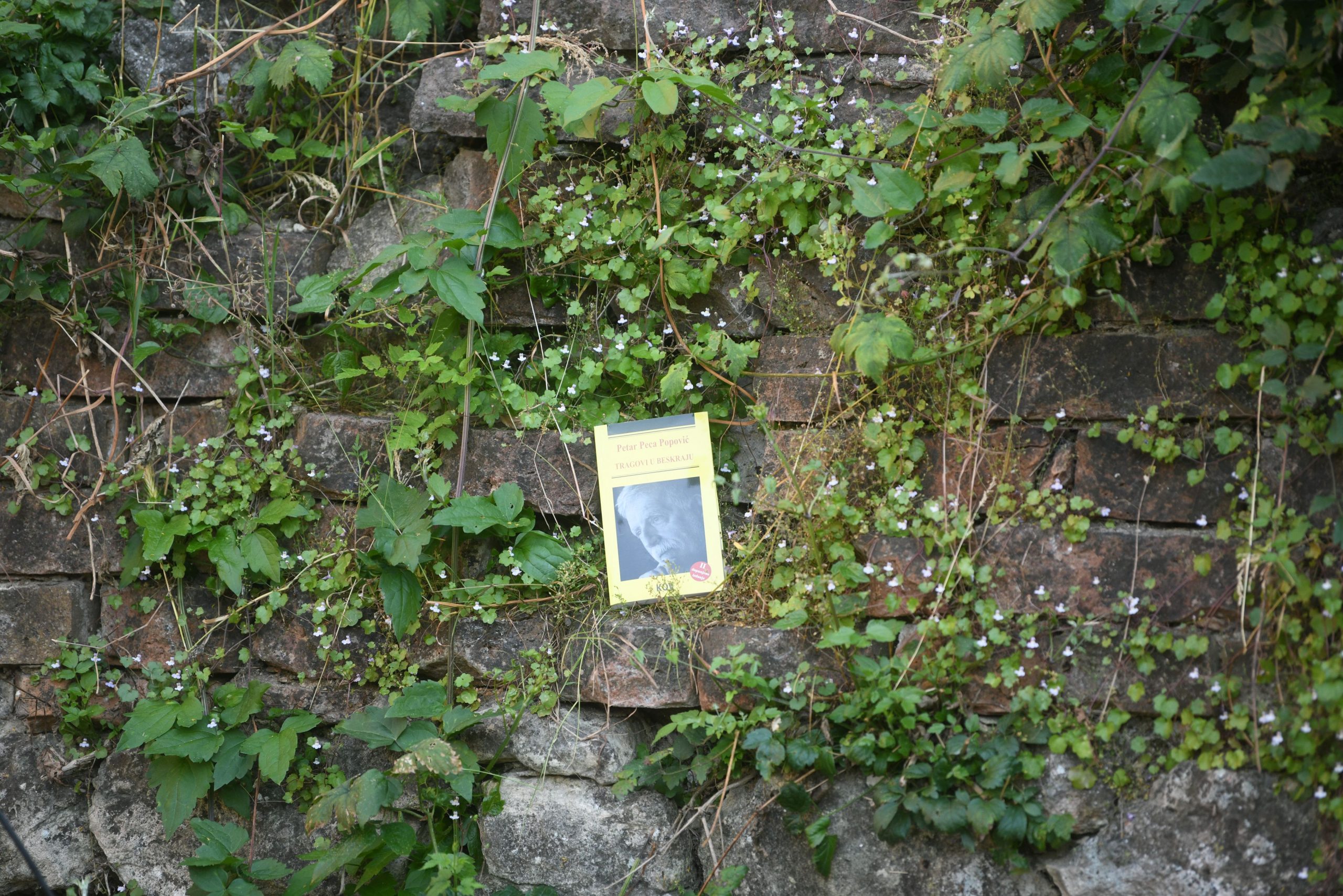 Beograd 10. jun 2021. Peca Popovic na Kosancicevom vencu Peca Popović gost „Večeri na Kosančiću“ Foto:Filip Krainčanić/Nova.rs