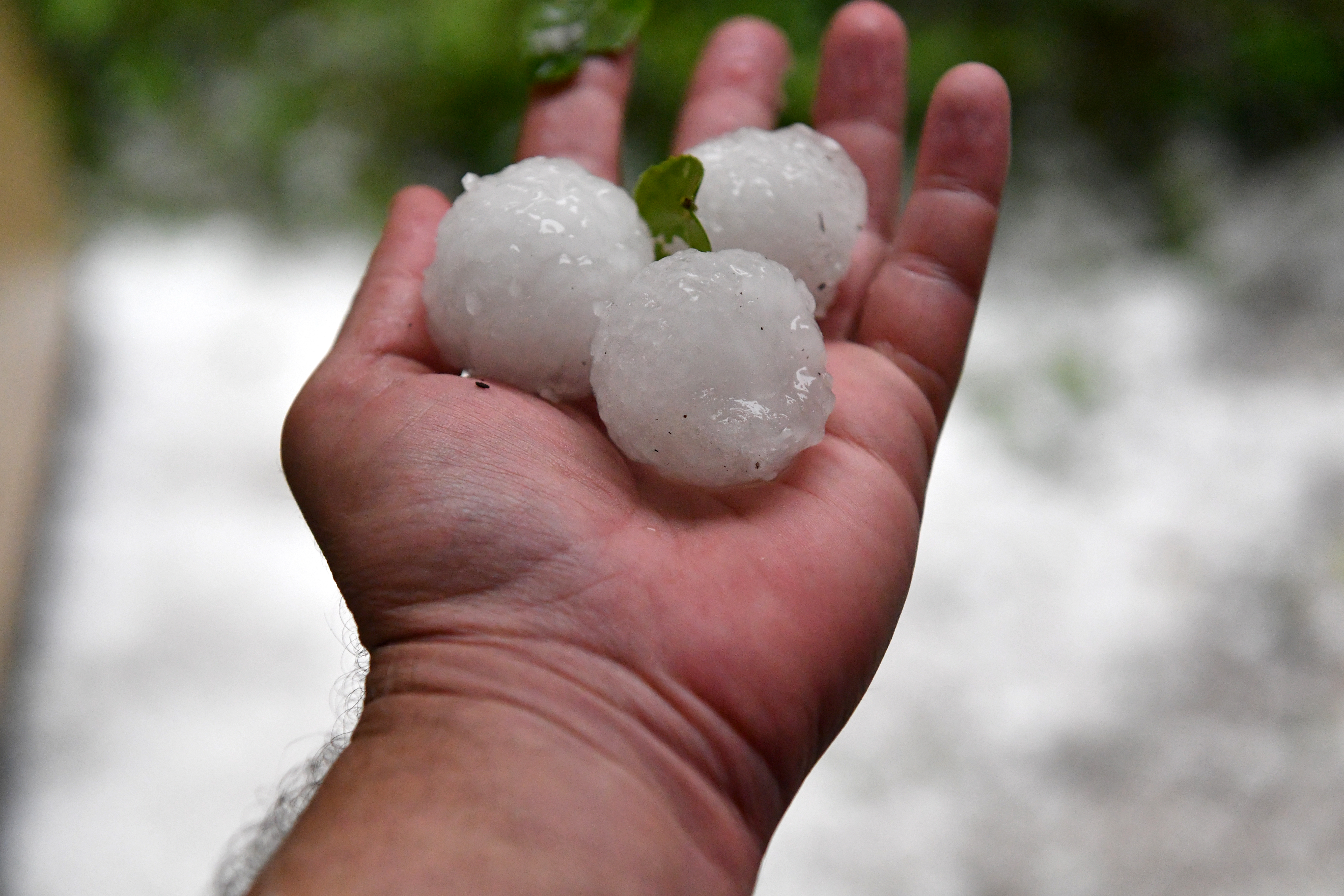 Aftermath of a hail storm in Canberra grad kisa nevreme