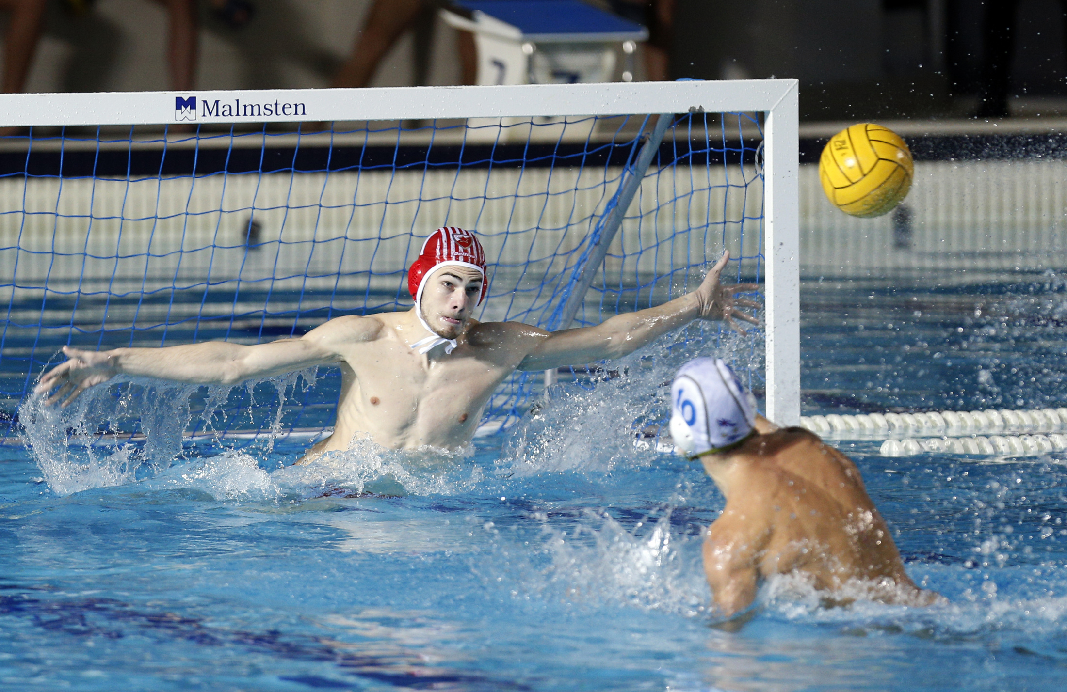 jadran-zvezda-126242