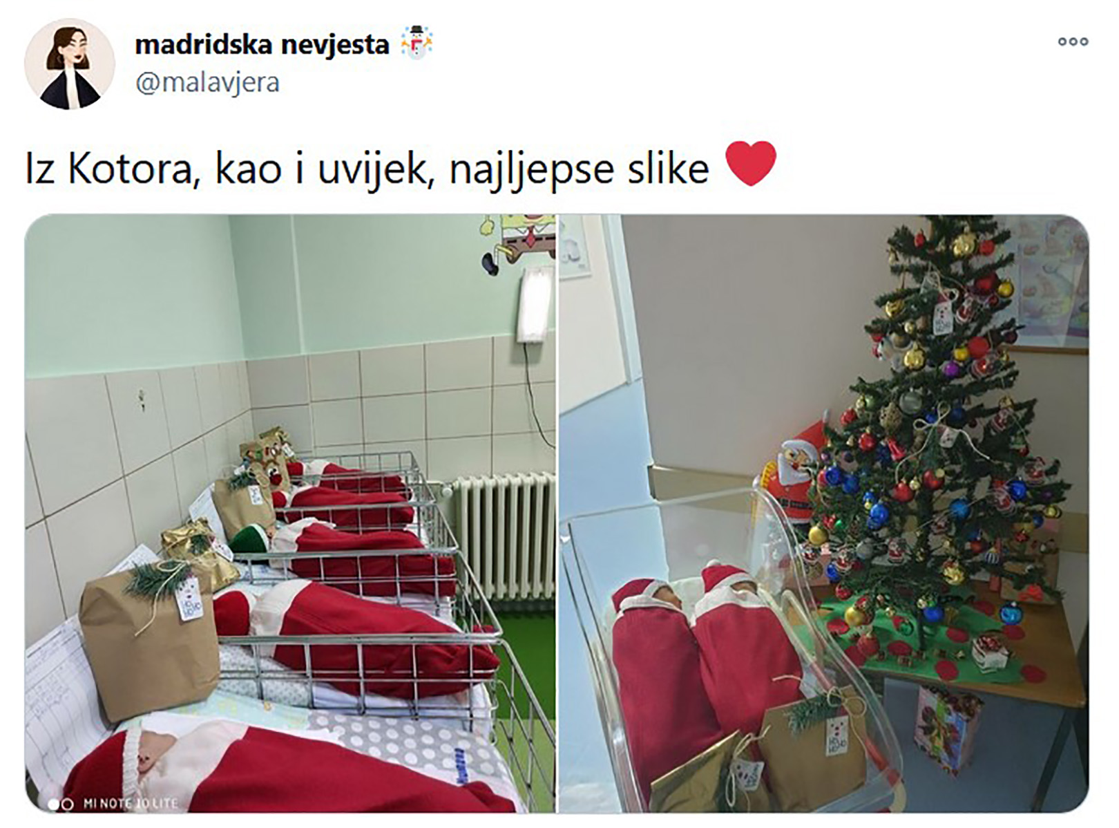 Bebe Kotor nova godina