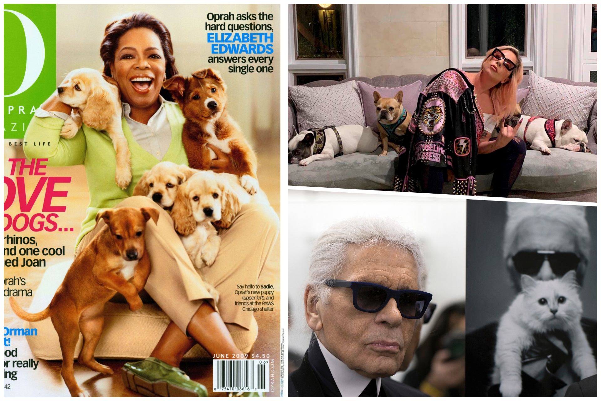 Opra, Lejdi gaga, Karl Lagerfeld, kuce, mace, ljubimci kombo