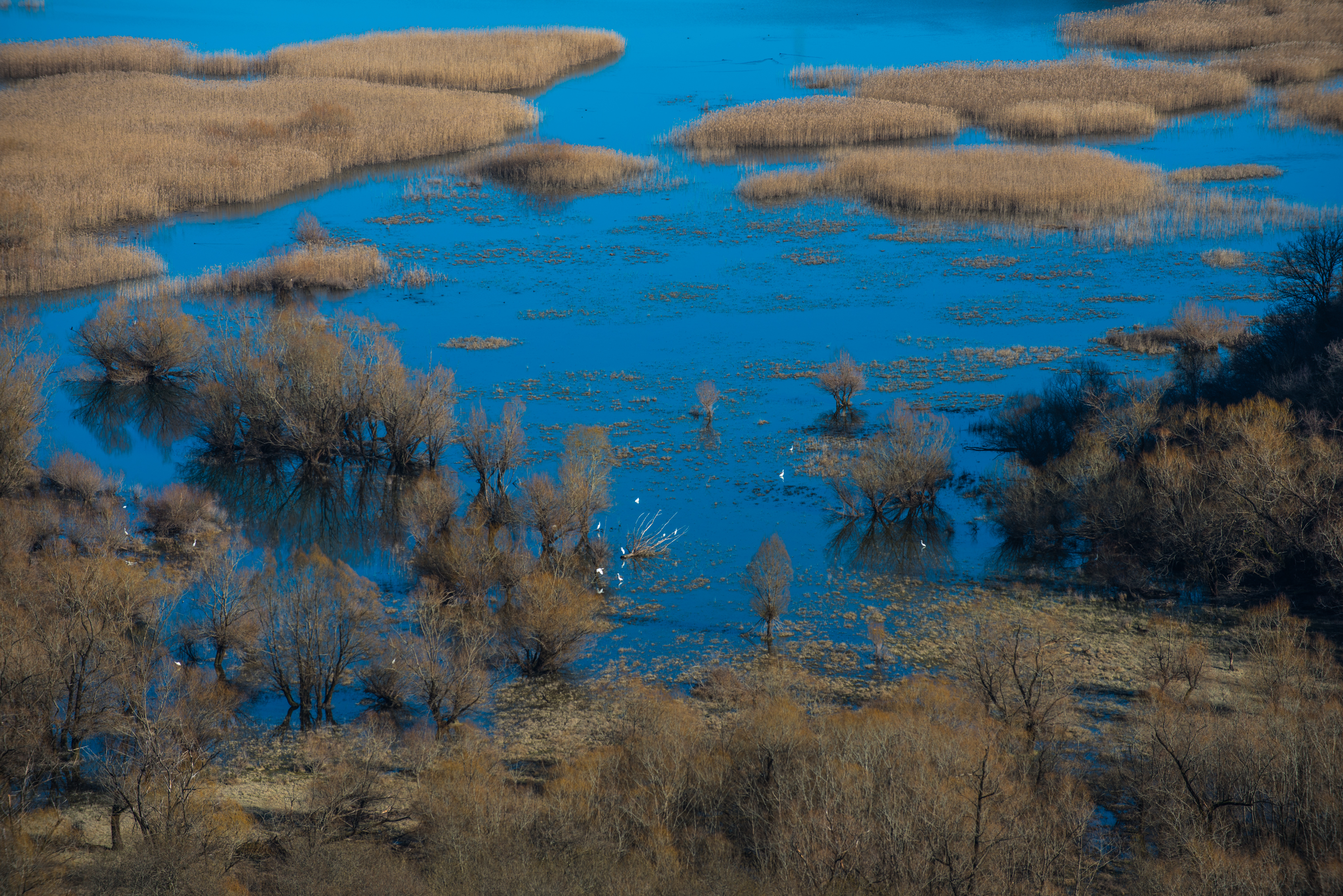 Skadarsko jezero