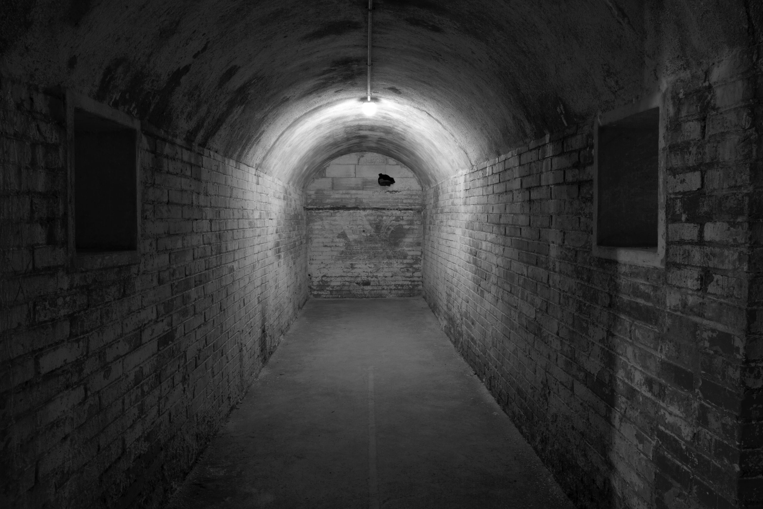 Beogradski mesec fotografije