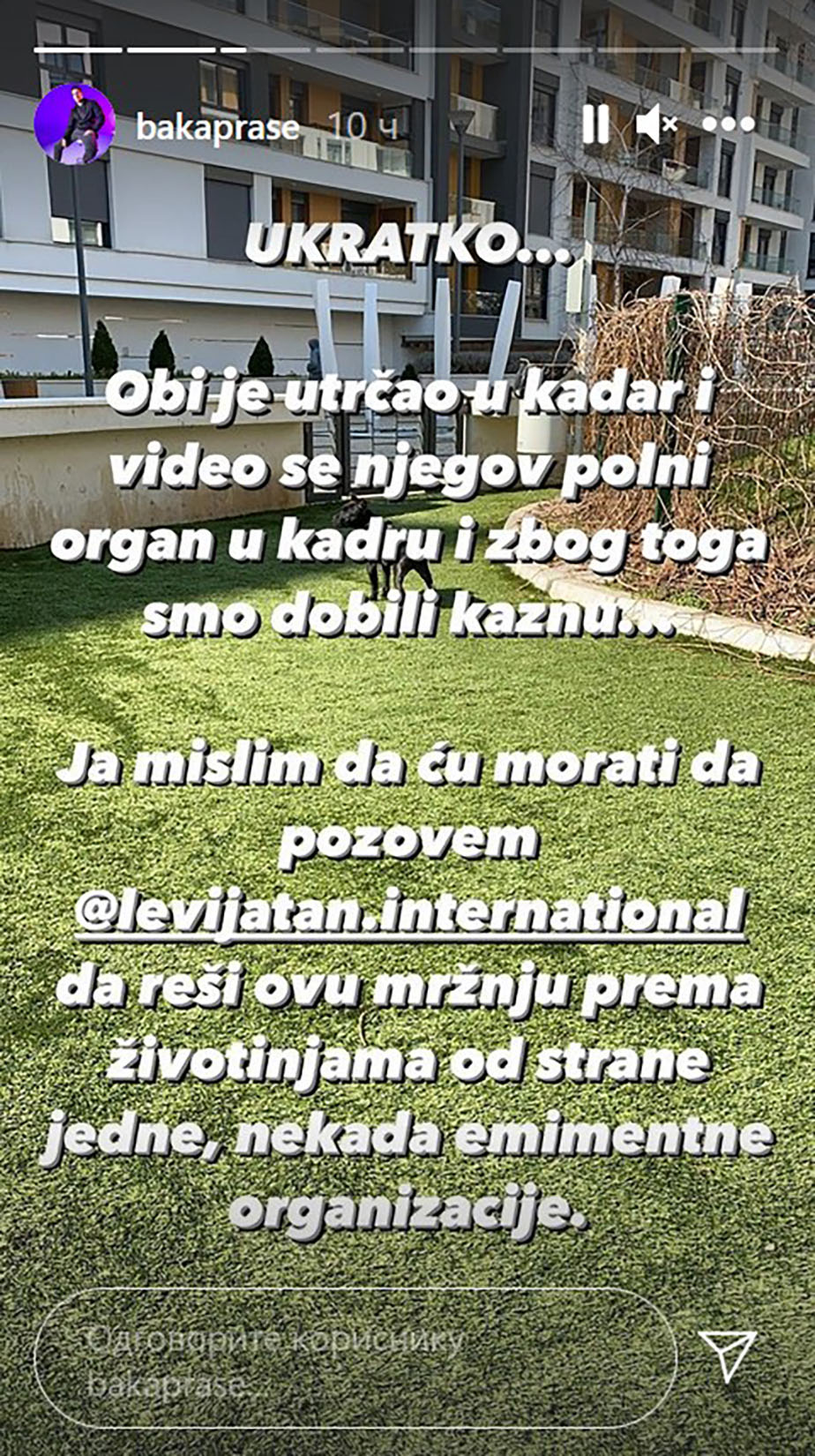 Baka Prase, kažnjen sa 5000 eura, kazna, novčana kazna Foto: Instagram/bakaprase