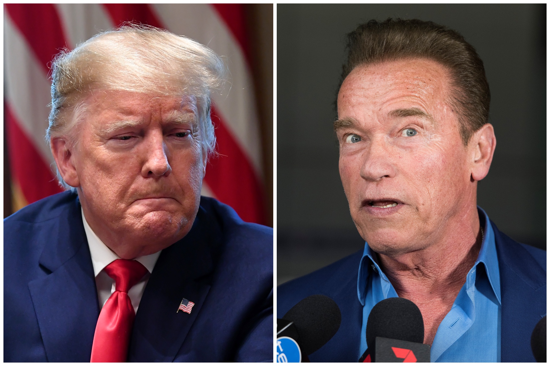 kombo Arnold Svarceneger i Donald Tramp