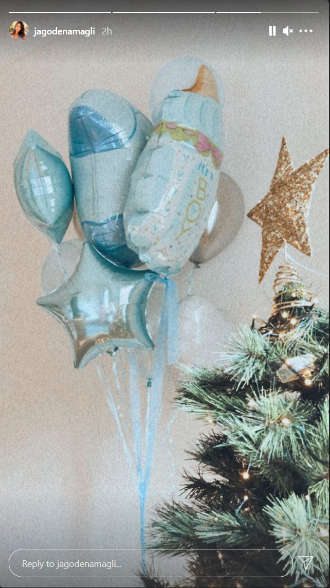 Jelisaveta Orašanin Teodosić