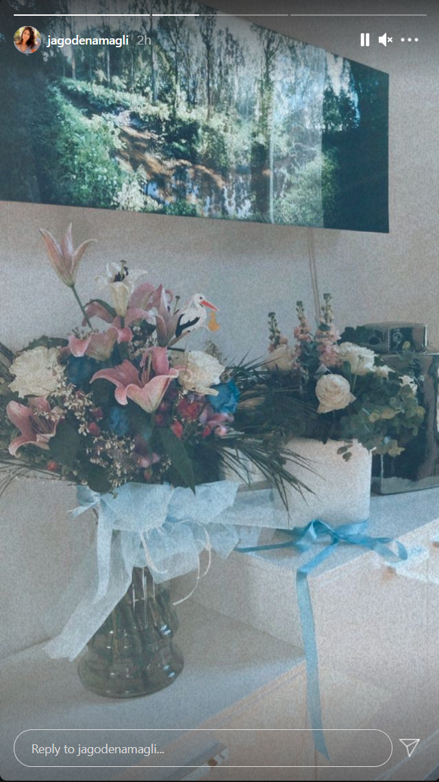 Jelisaveta Orašanin Teodosić