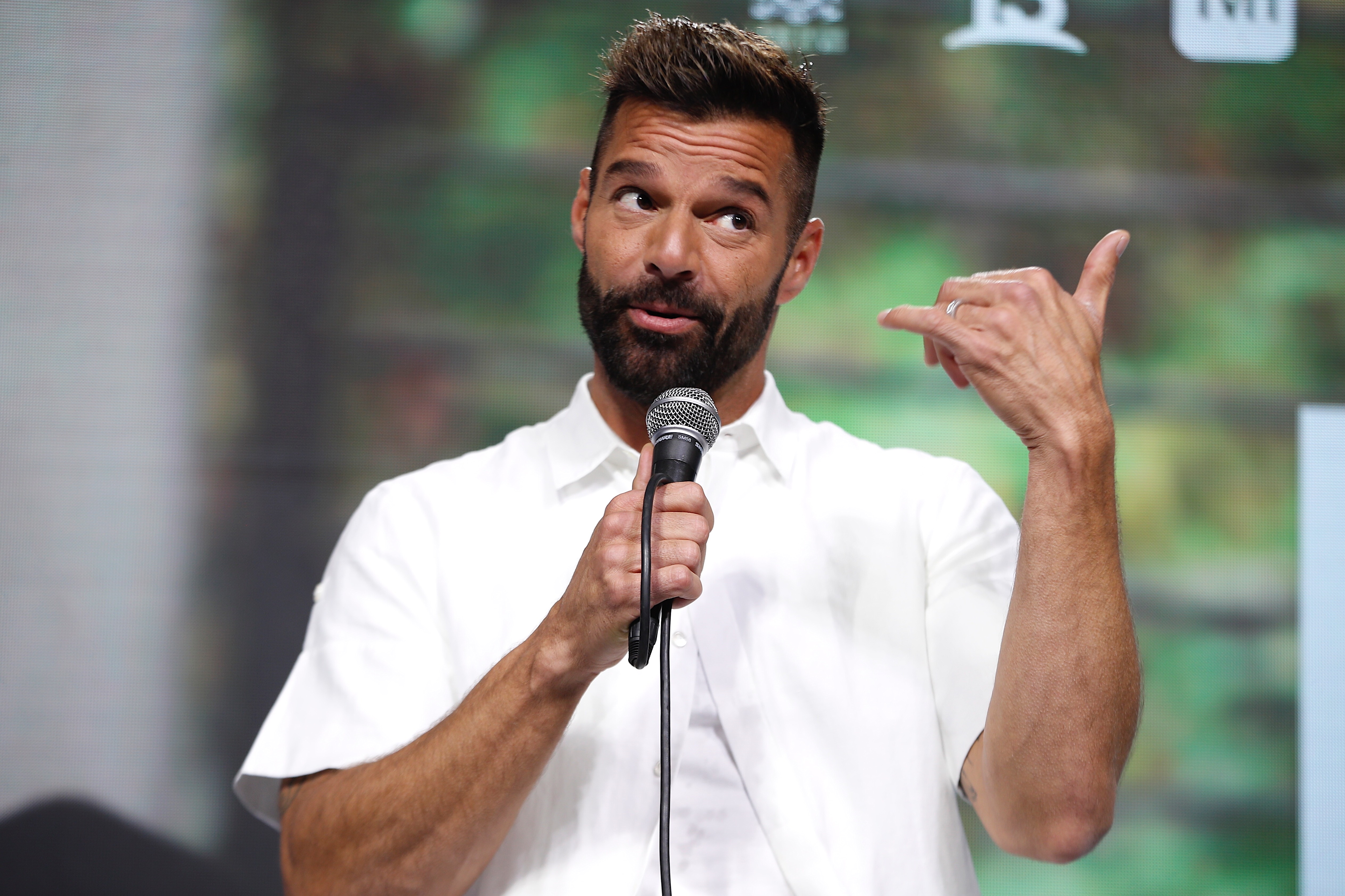 61st edition of Vina del Mar International Song Festival