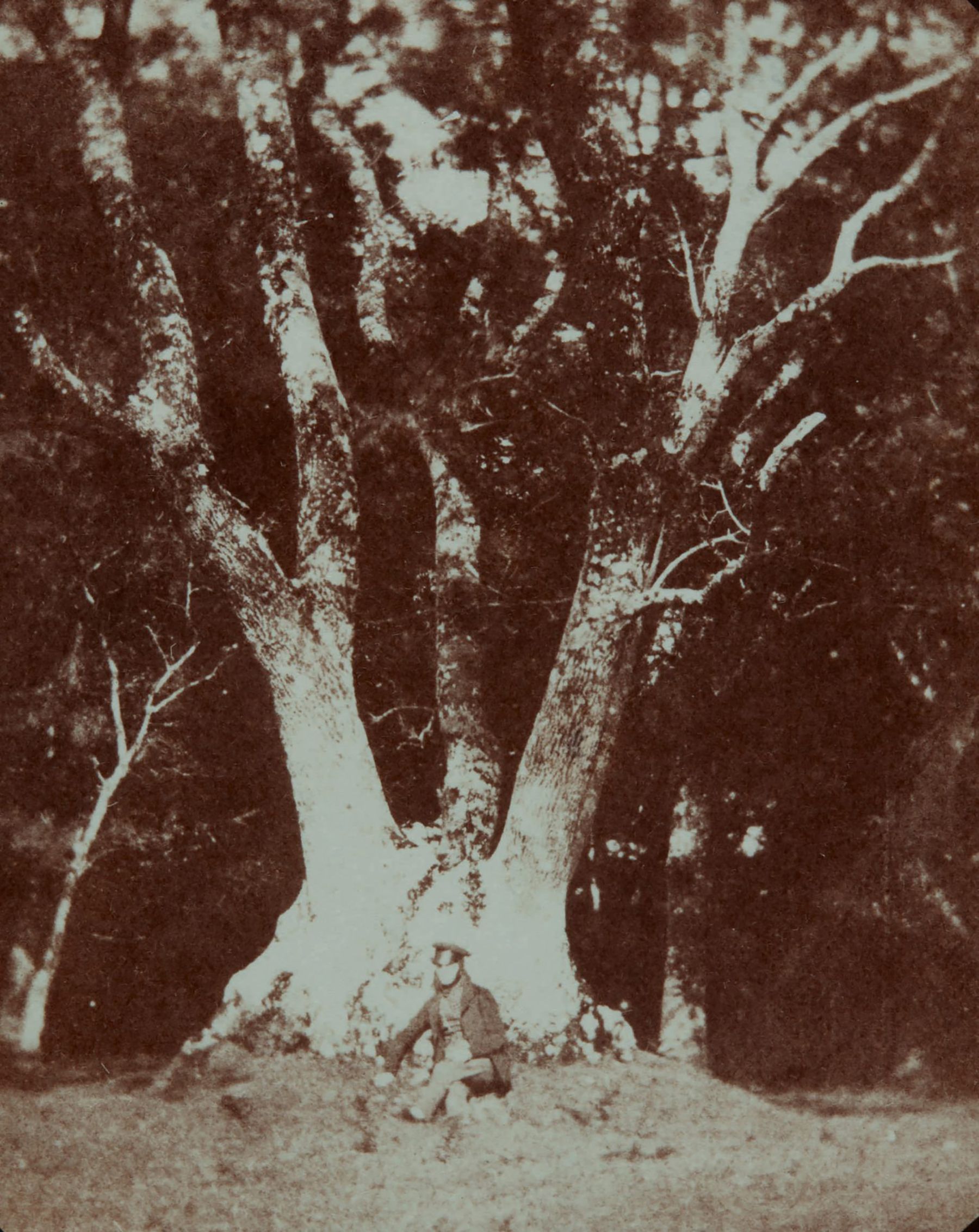 Sotheby’s Will Auction a Hoard of the World’s Earliest Photographs, Taken by 19th-Century Inventor Henry Fox Talbot