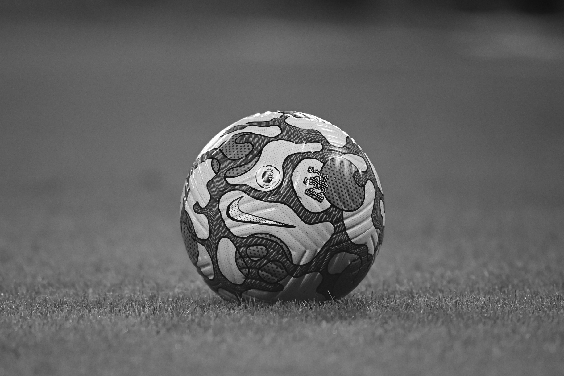 imageedit_1_4180672984