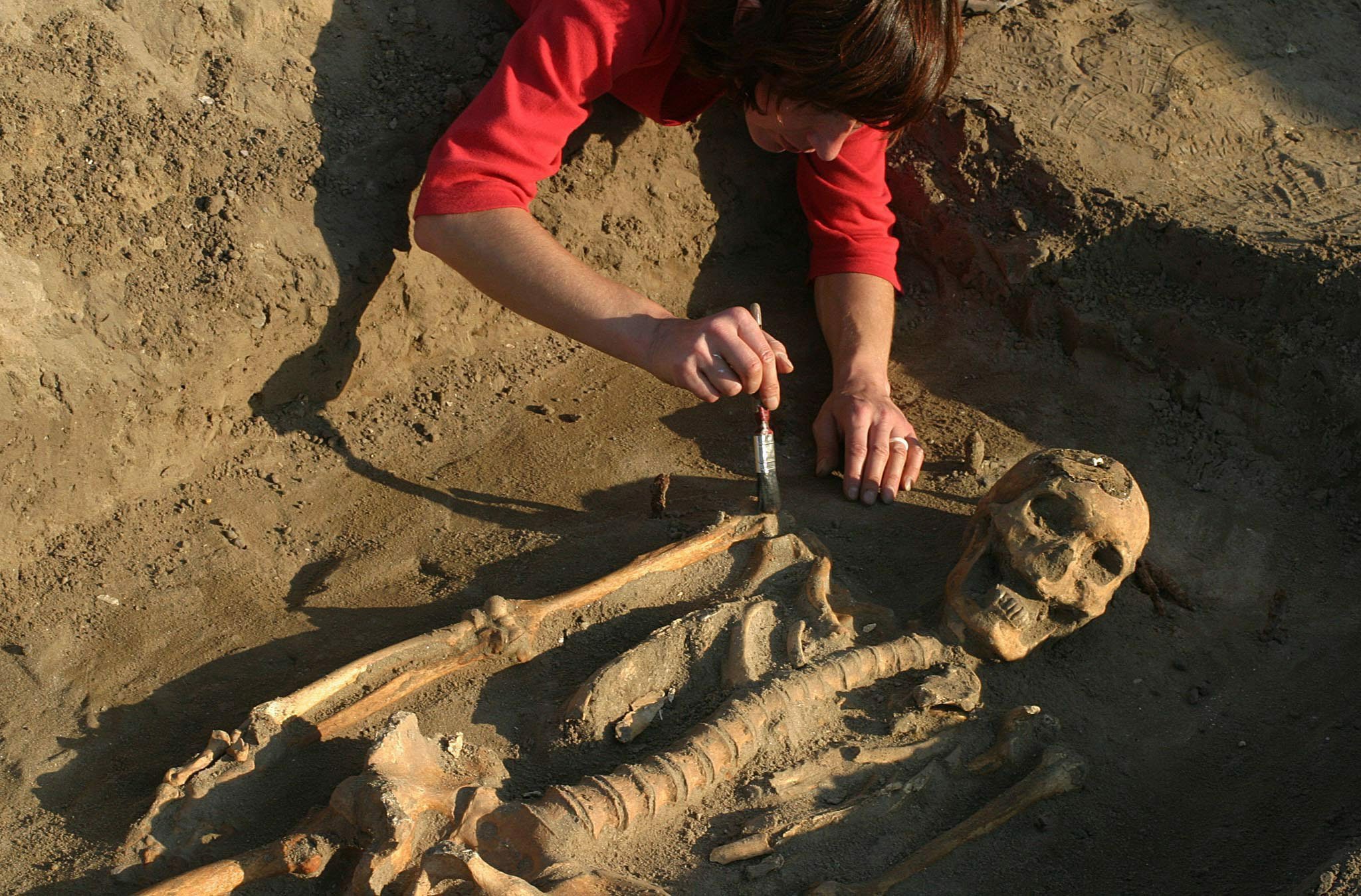 Hundreds of 300 year old slave skeletons found on building site in Cape Town.