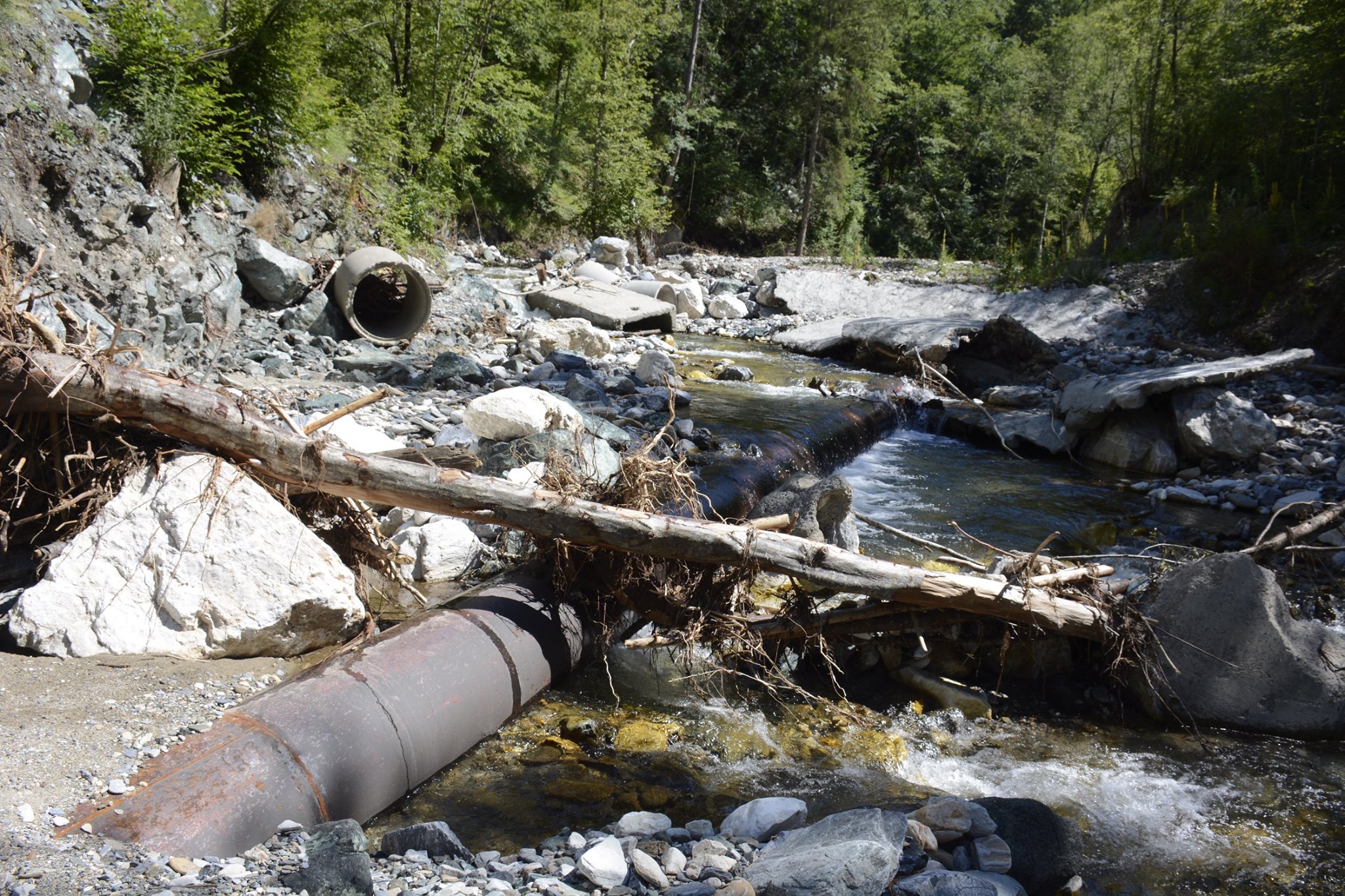 108203398_3355745087808072_3257236987665779687_o