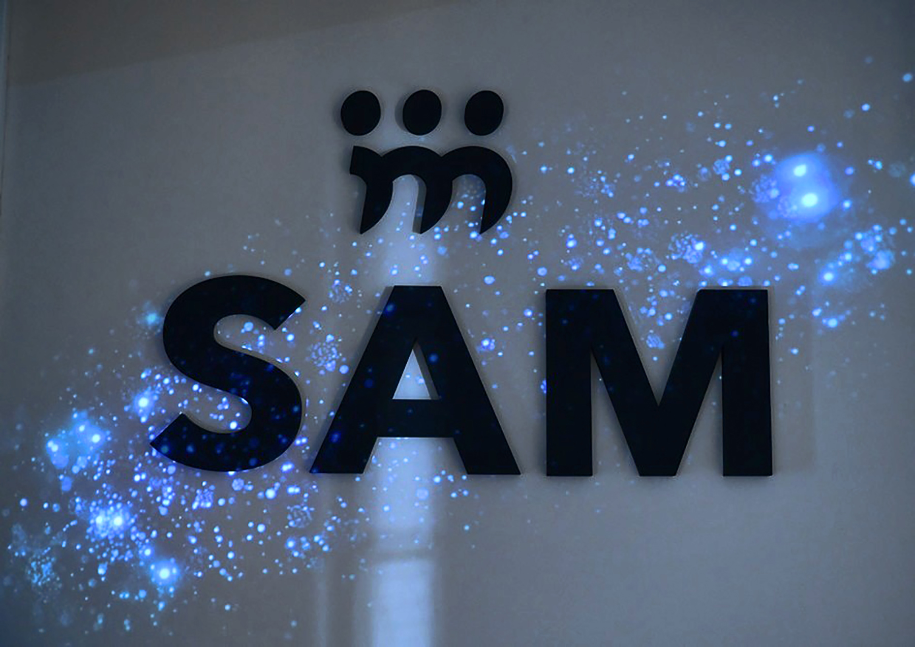 srpska asocijacija menadzera