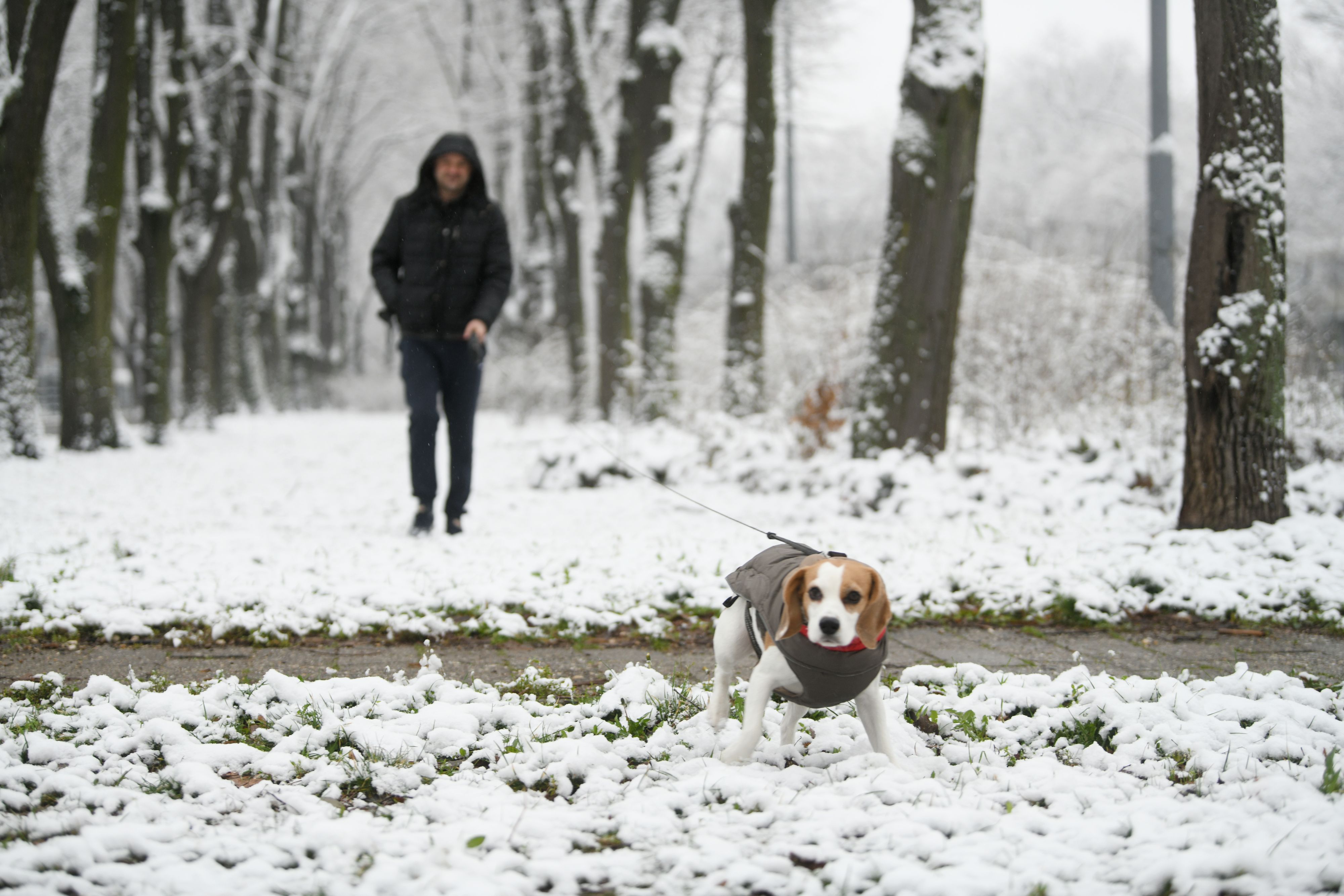 Beograd 10.01.2021. Sneg, padavine, prvi sneg, sneg u Beogradu, vreme, hladno