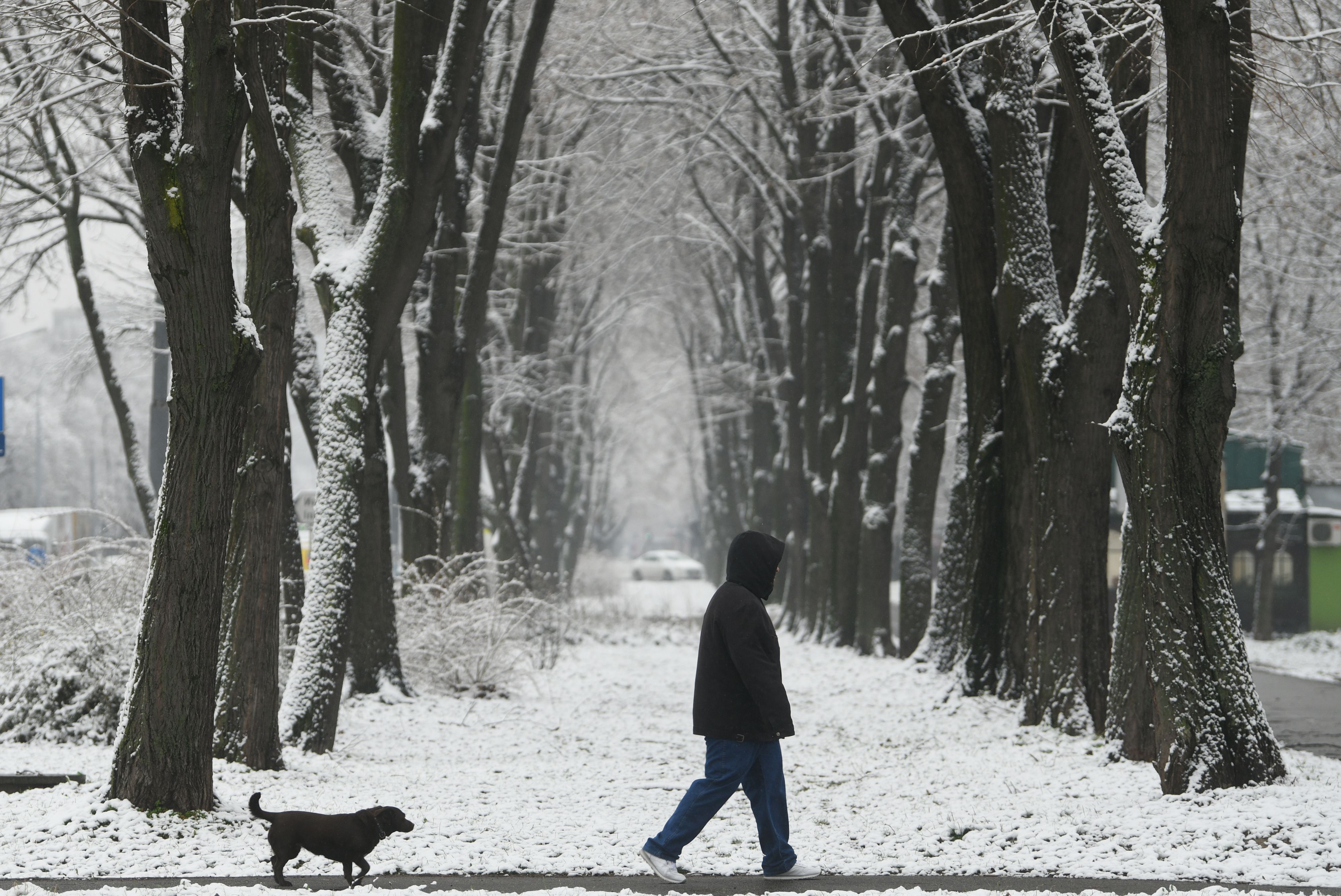 Beograd 10.01.2021. Sneg, padavine, prvi sneg, sneg u Beogradu, vreme, hladno