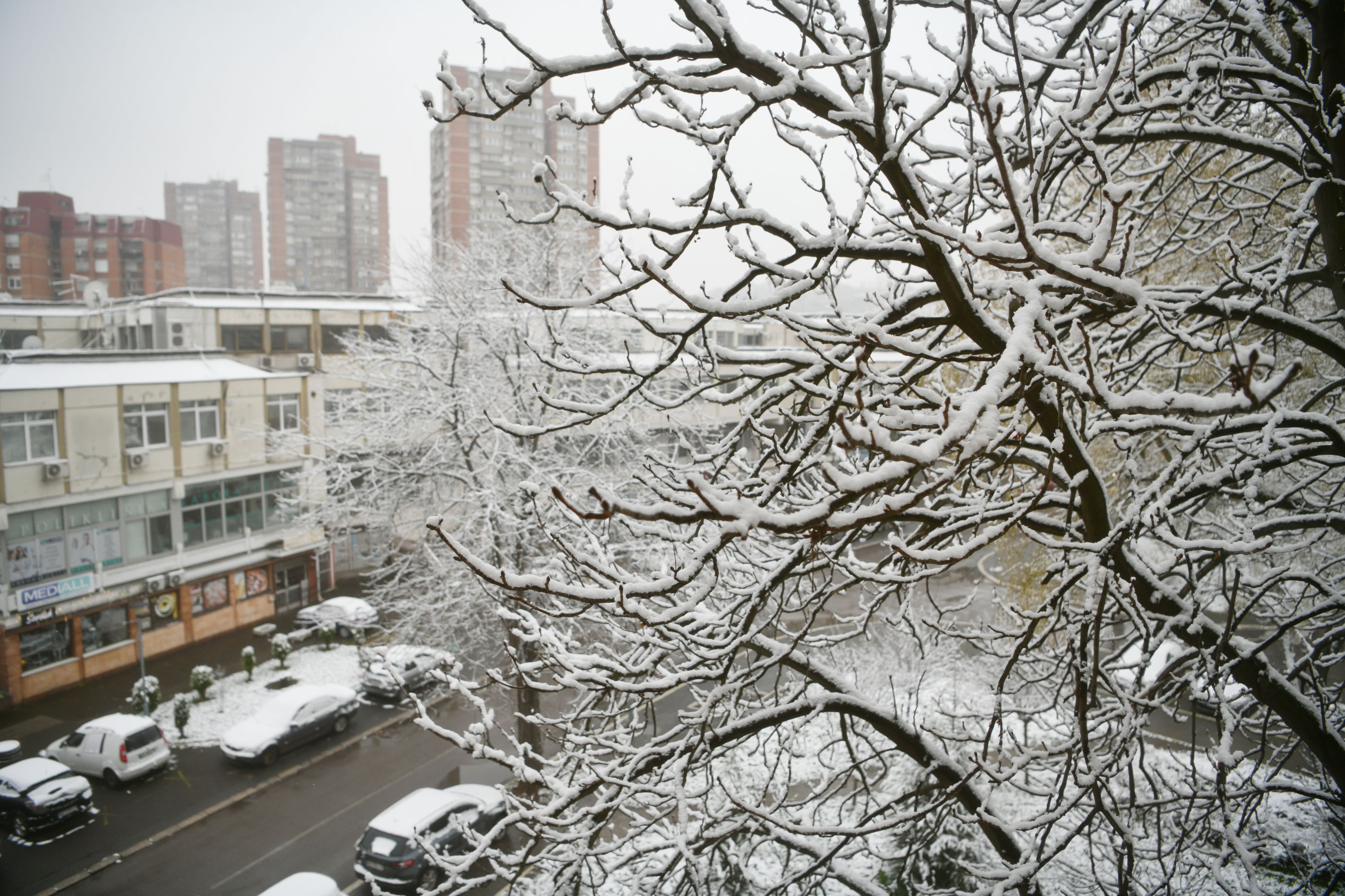 Foto: Filip Kraincanic