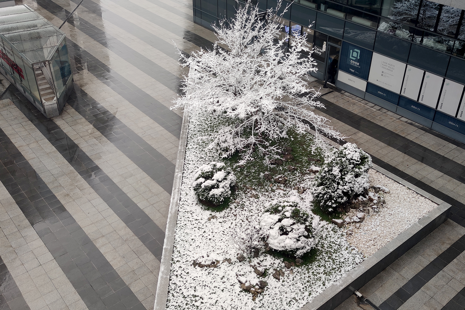 Foto: Vladislav Mitic