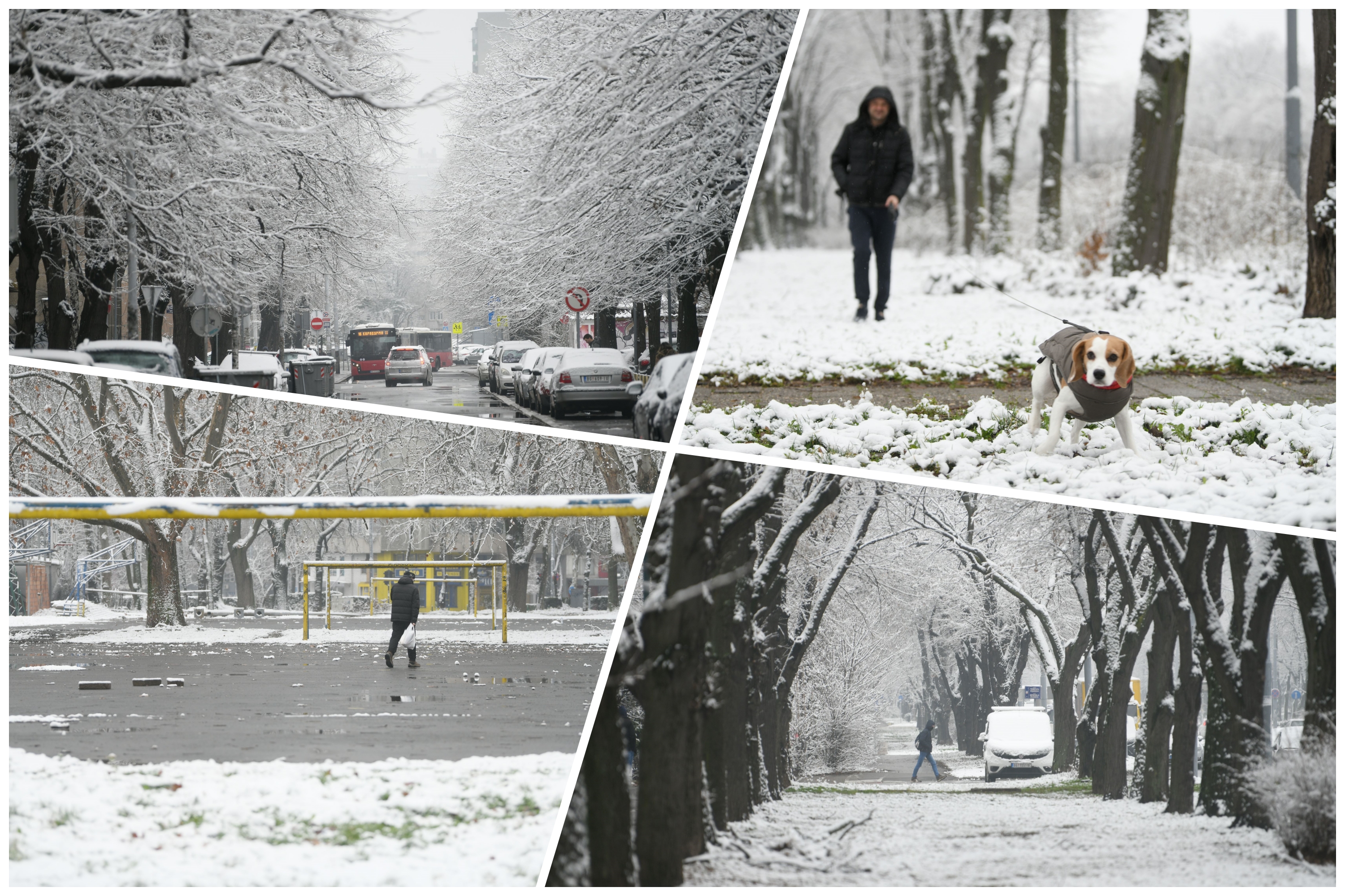 Beograd 10.01.2021. Sneg, padavine, prvi sneg, sneg u Beogradu, vreme, hladno