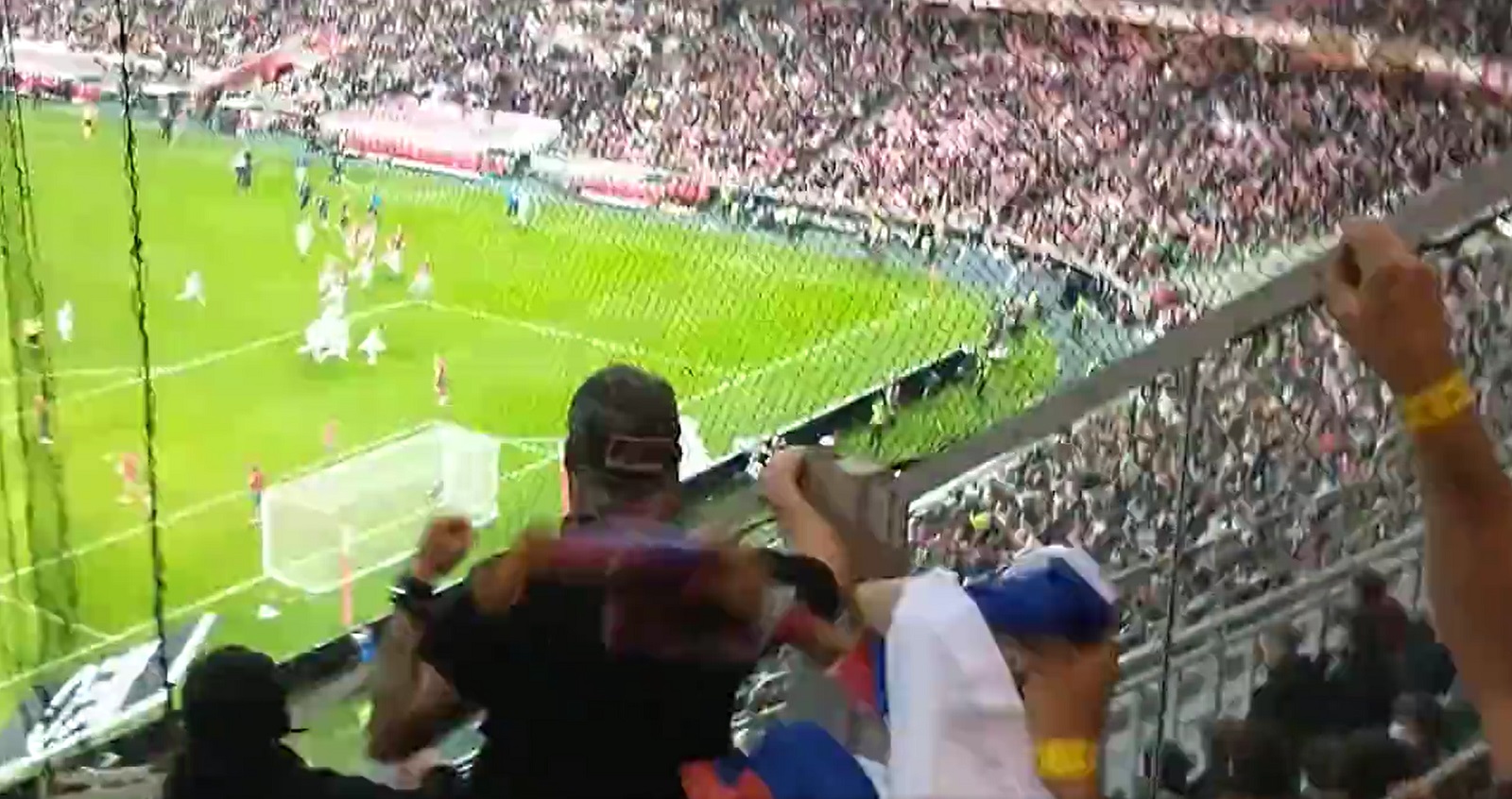 mitrovic gol navijaci