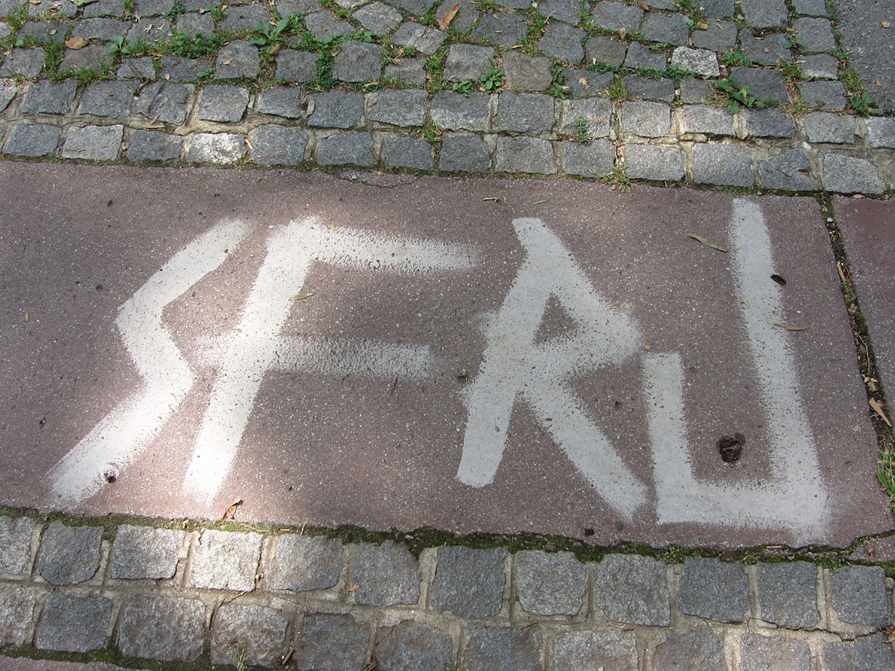 sidewalk-art-Ljubljana-2013_foto-Mitlja-Veljikonja.jpg