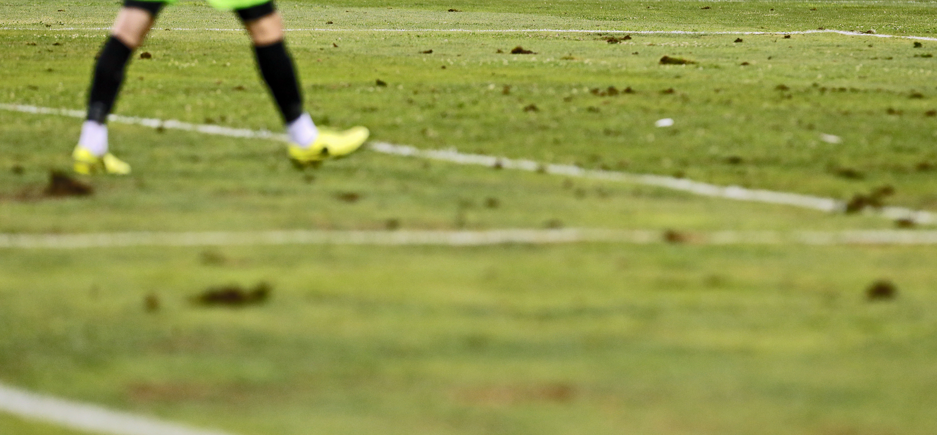teren trava Crvena Zvezda - Backa Superliga Srbije 13.8.2017. Beograd, Srbija, 13. Avgust 2017. (credit image &amp; photo: Pedja Milosavljevic / STARSPORT)