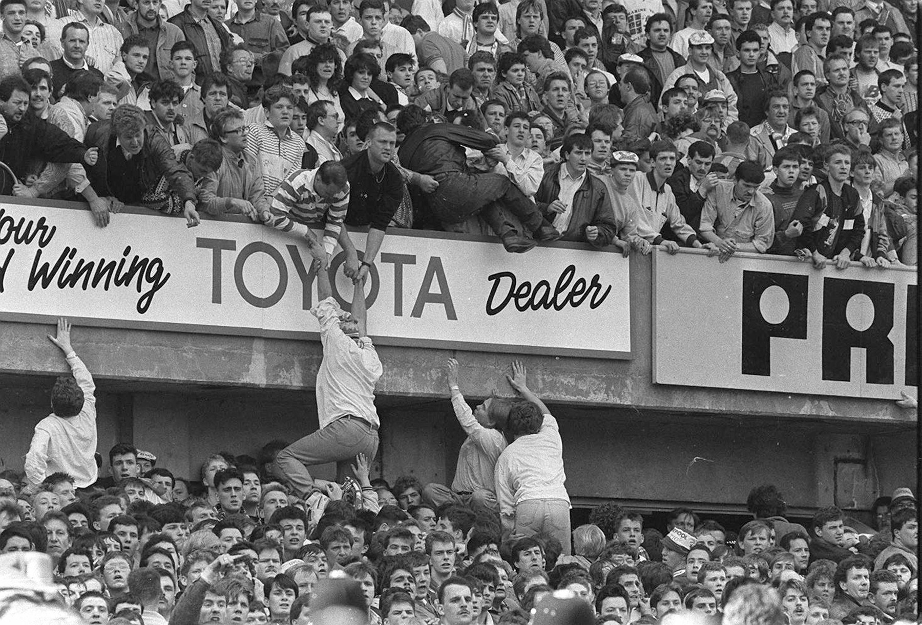 profimedia-0282650704