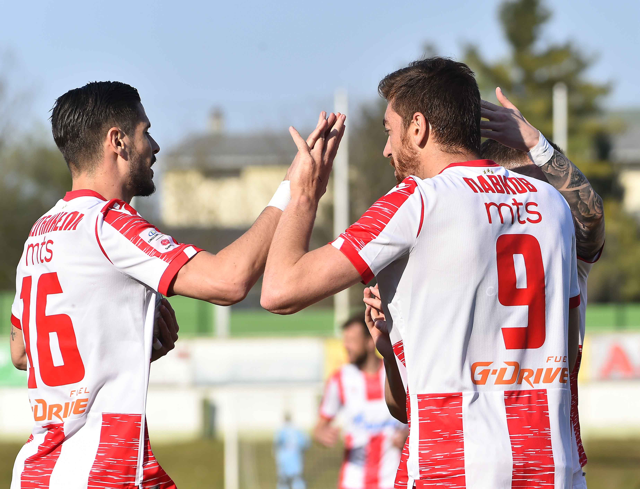 indjija-zvezda-56840