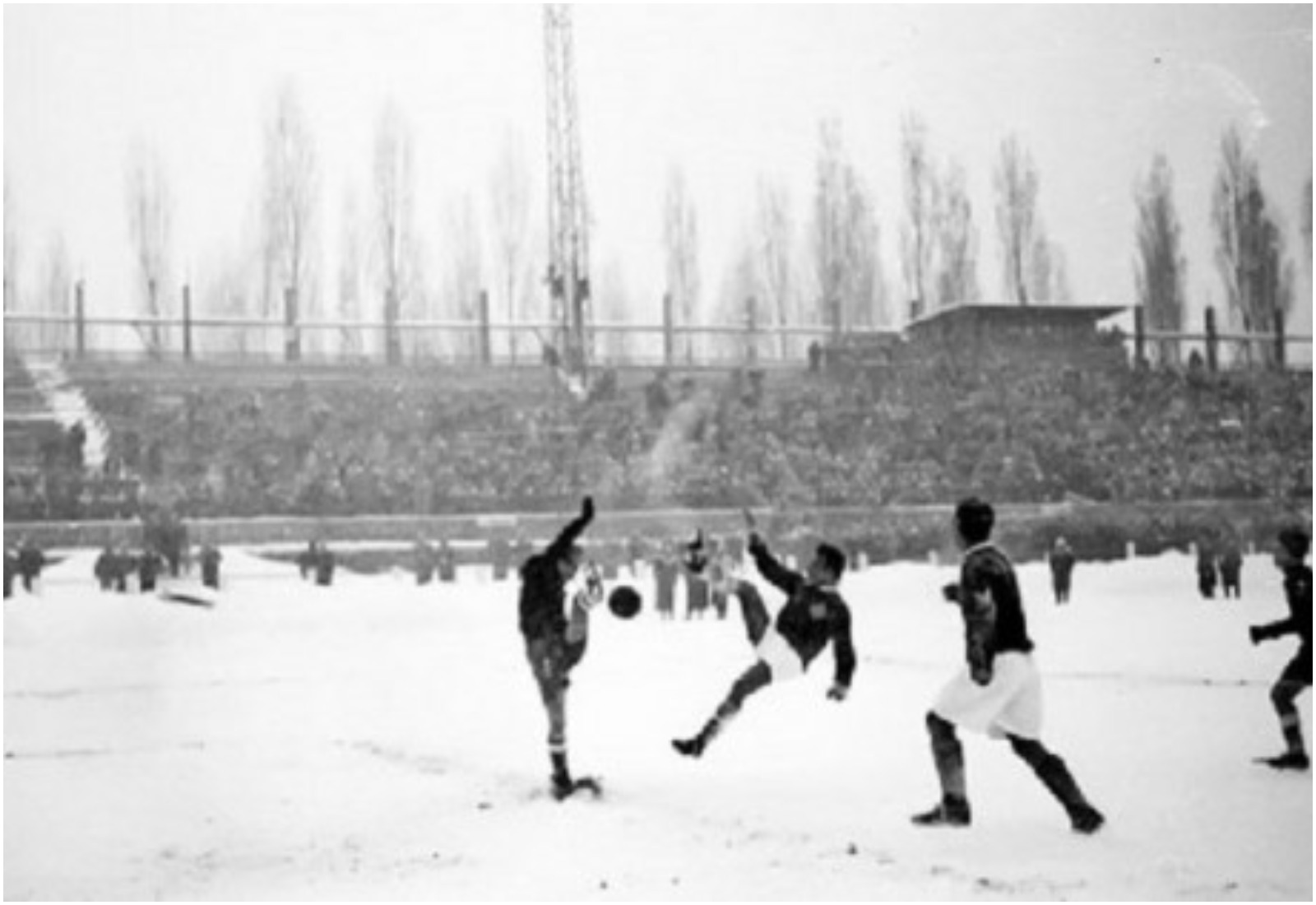 Foto. FK Crvena zvezda