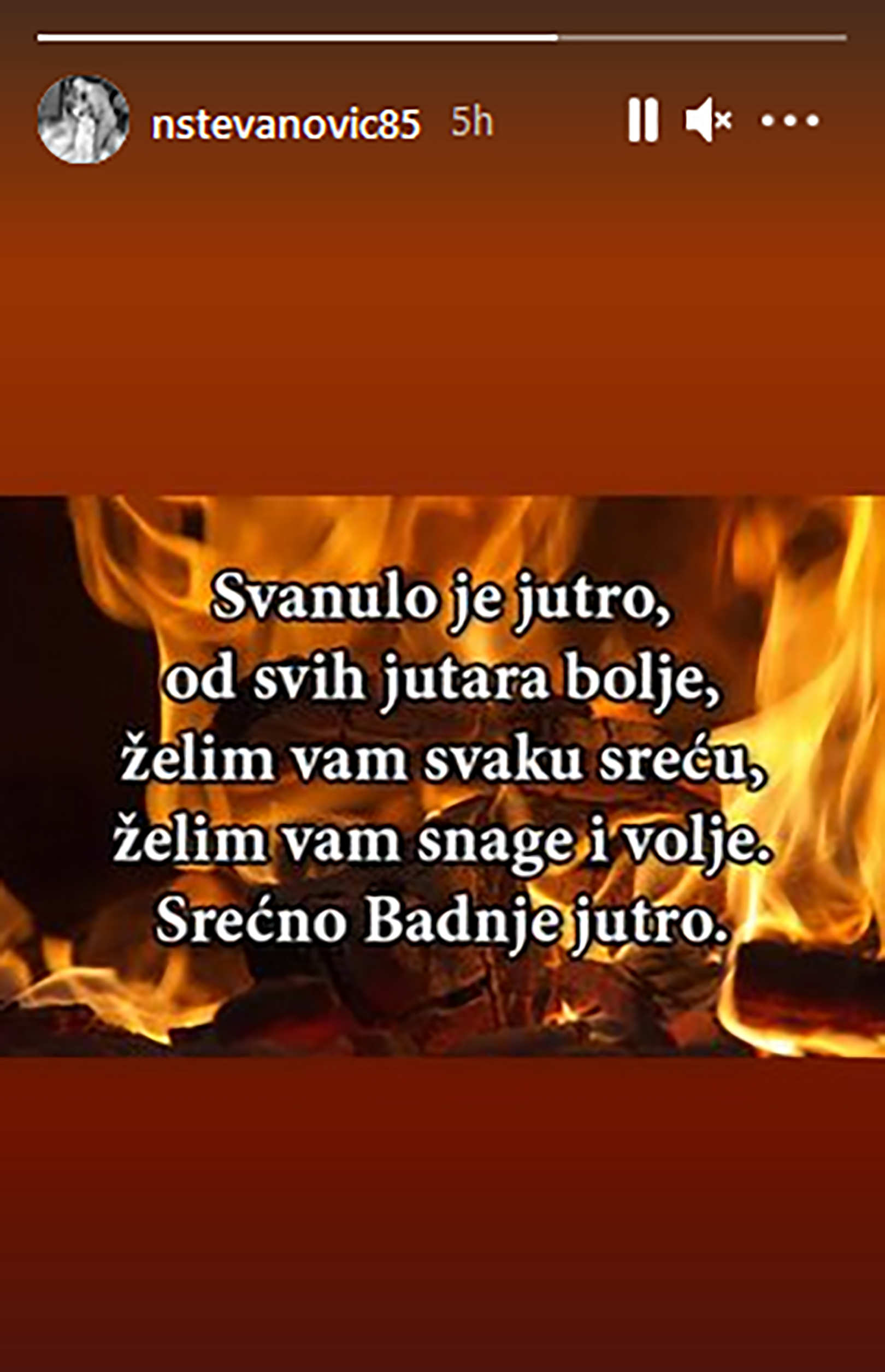 Nemanja-Stevanovic-Badnjak-1.png
