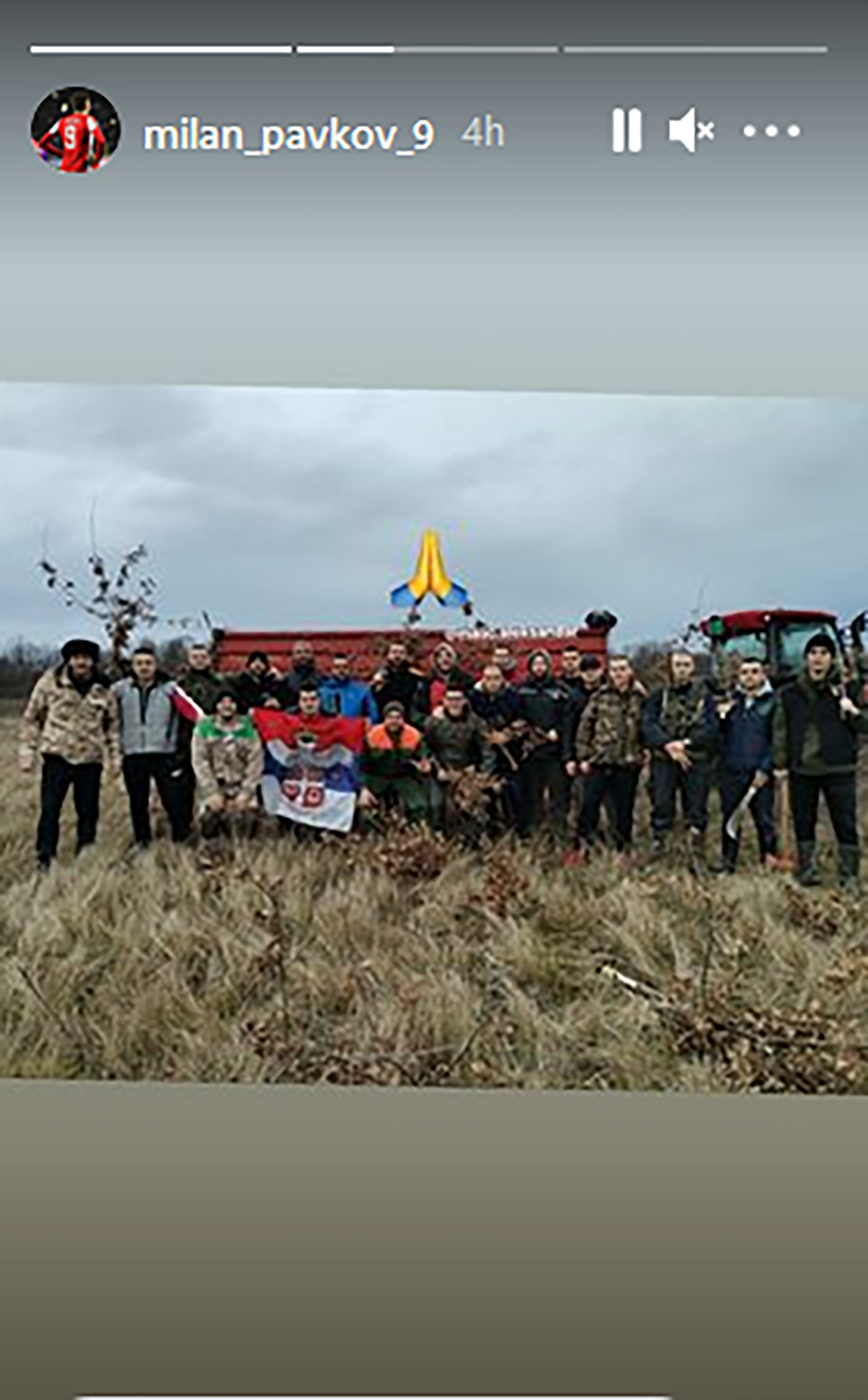 Milan-Pavkov-Badnjak-1.png