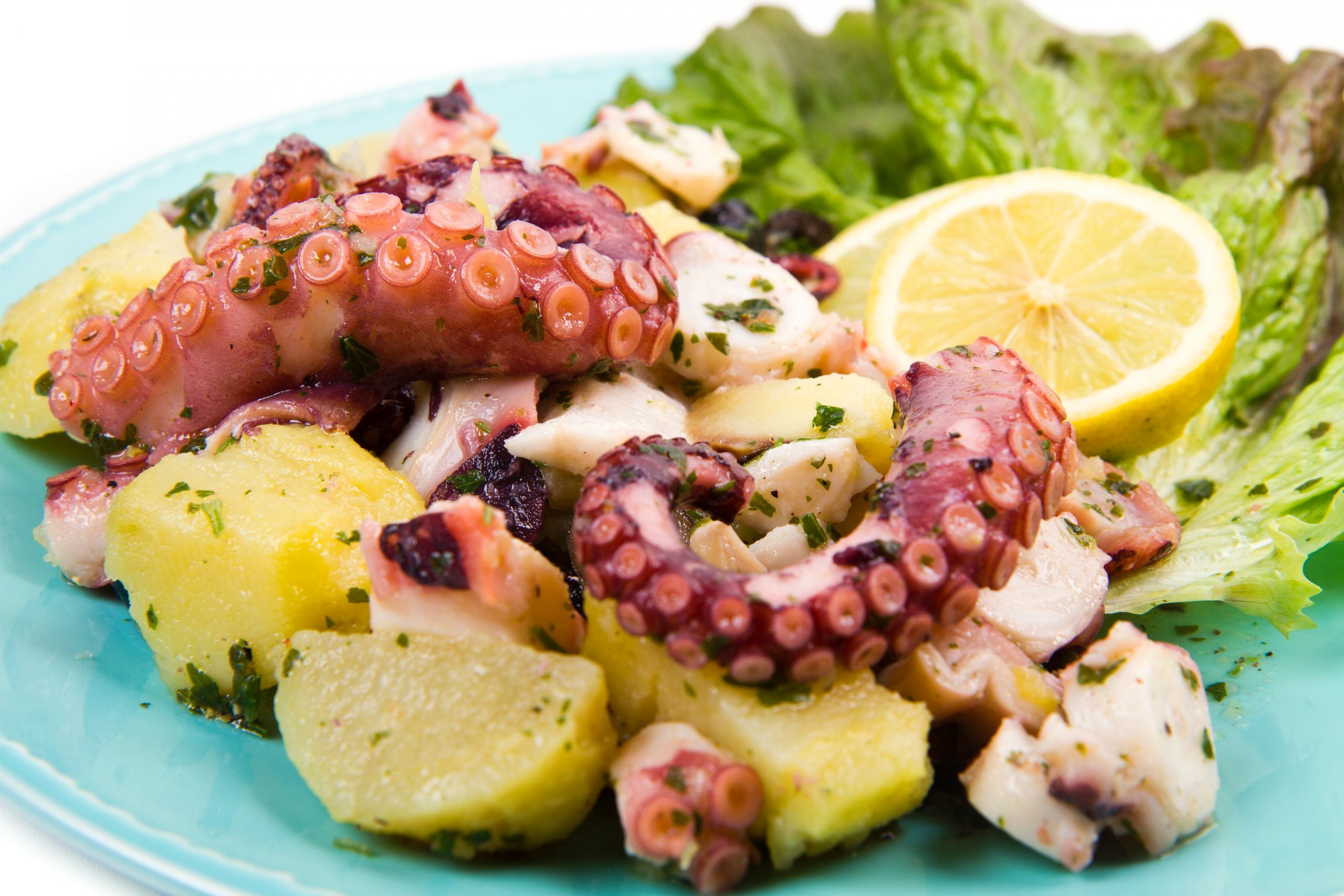16.9. (b) Hobotnica na krompiru stock-photo-octopus-salad-with-potatoes-178485611 majstor amater