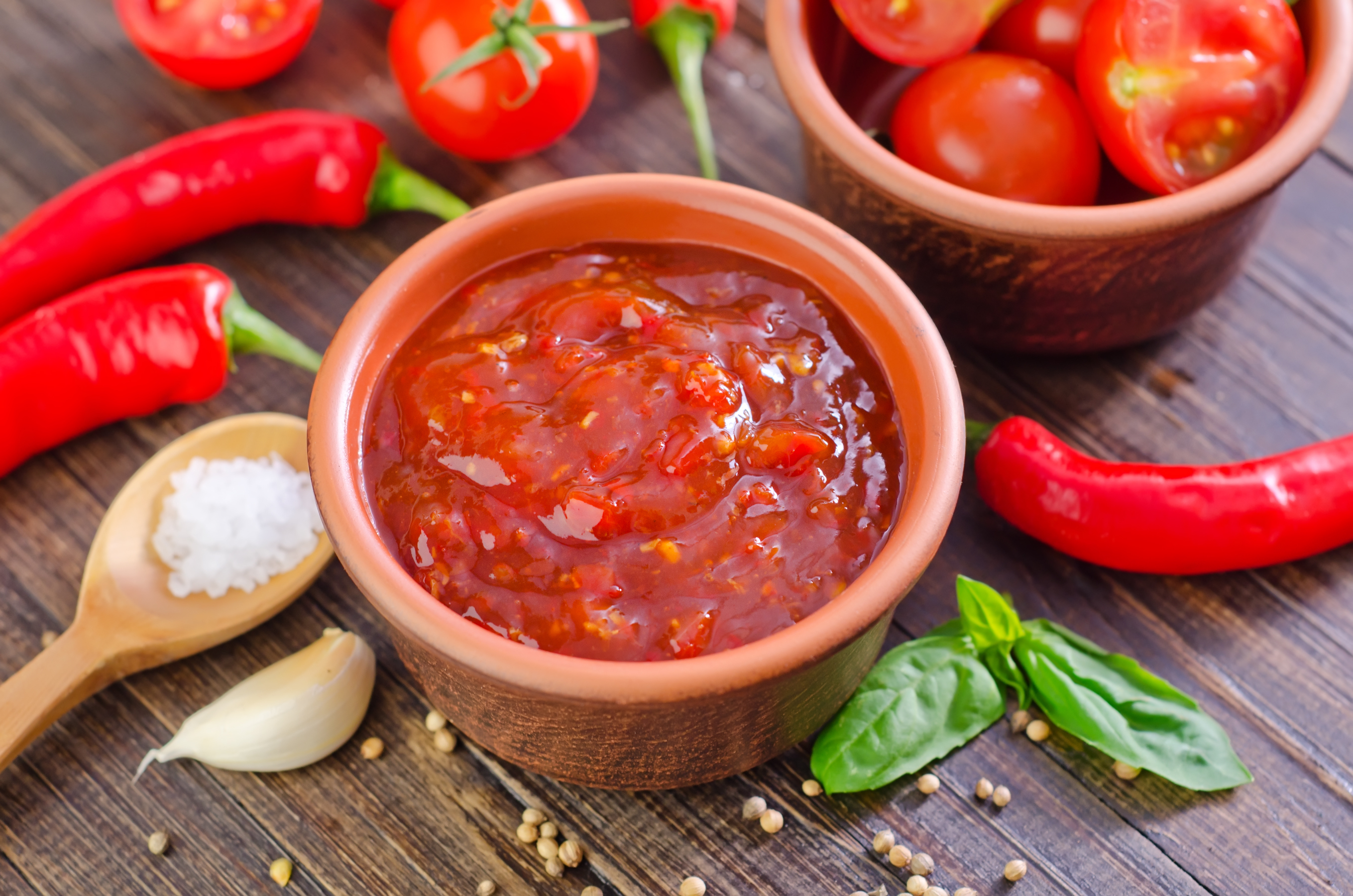 17.9. (a) Ljutenica leskovacka stock-photo-tomato-sauce-154933073 majstor amater