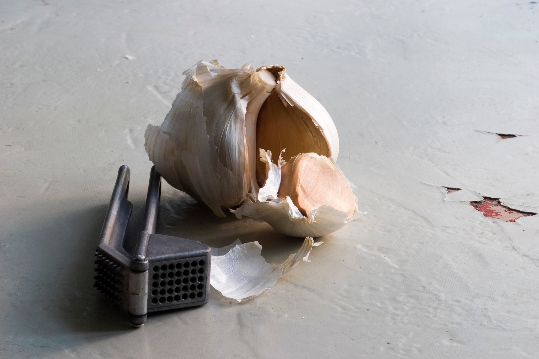 Image: 81179328, License: Rights-managed, Restrictions: , Model Release: no, Credit line: GWI/Maddie Thornhill / Garden world images / Profimedia