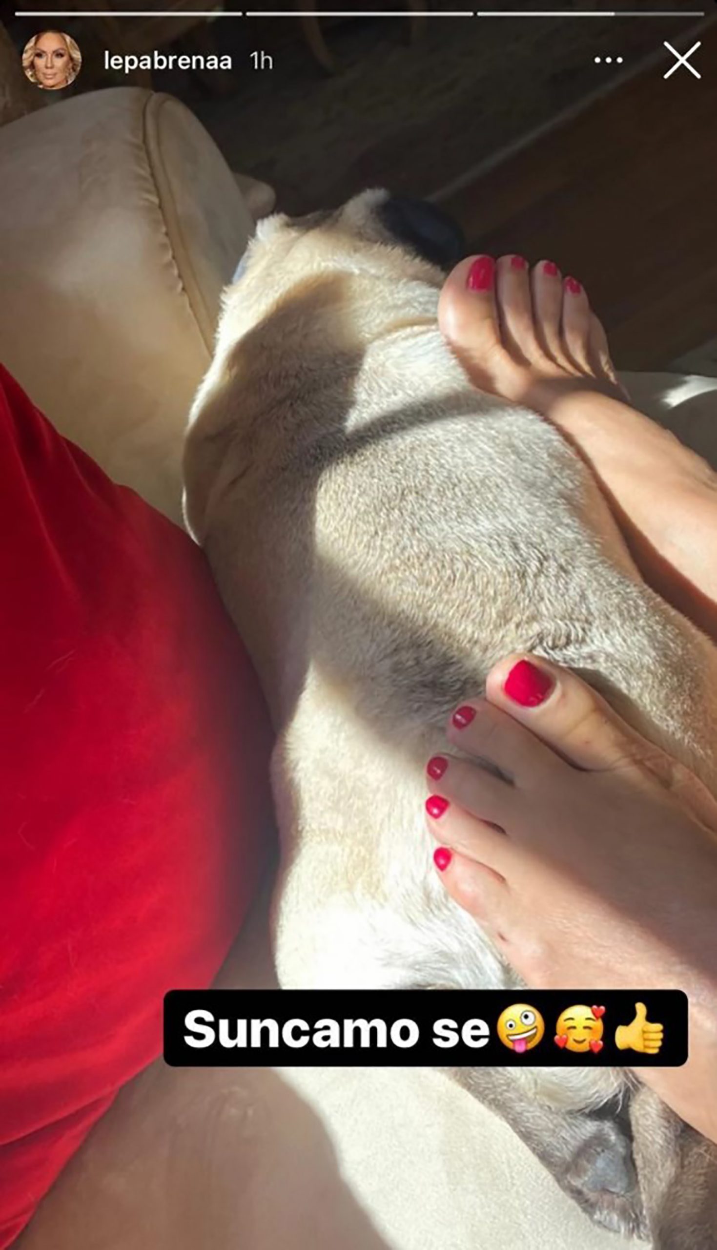 Lepa Brena instagram