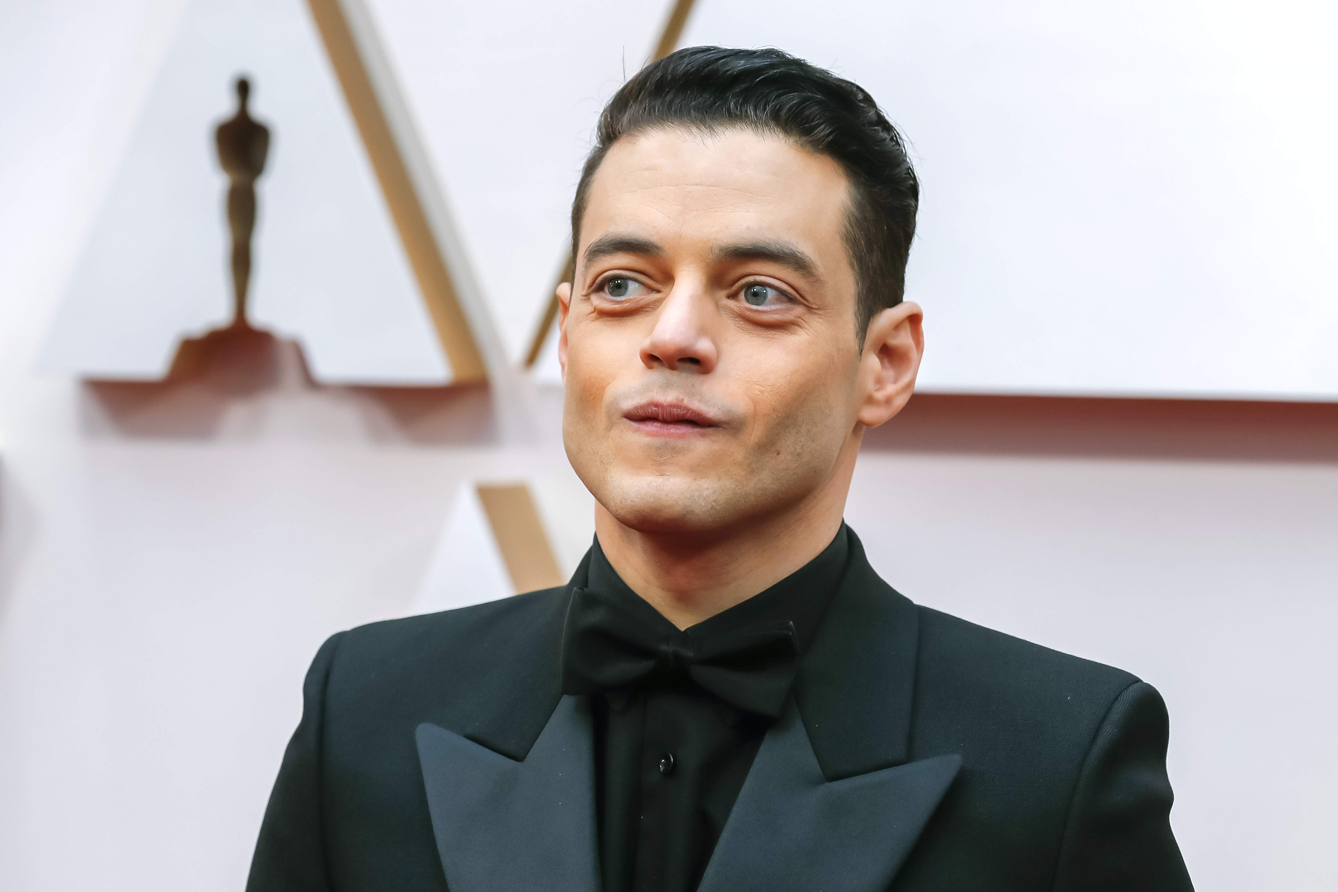 Arrivals - 92nd Academy Awards