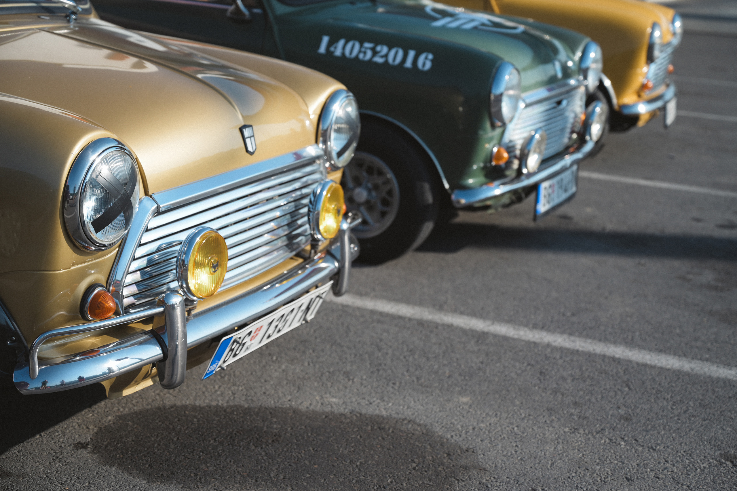 Mini klub Srbije, vožnja za Aniku