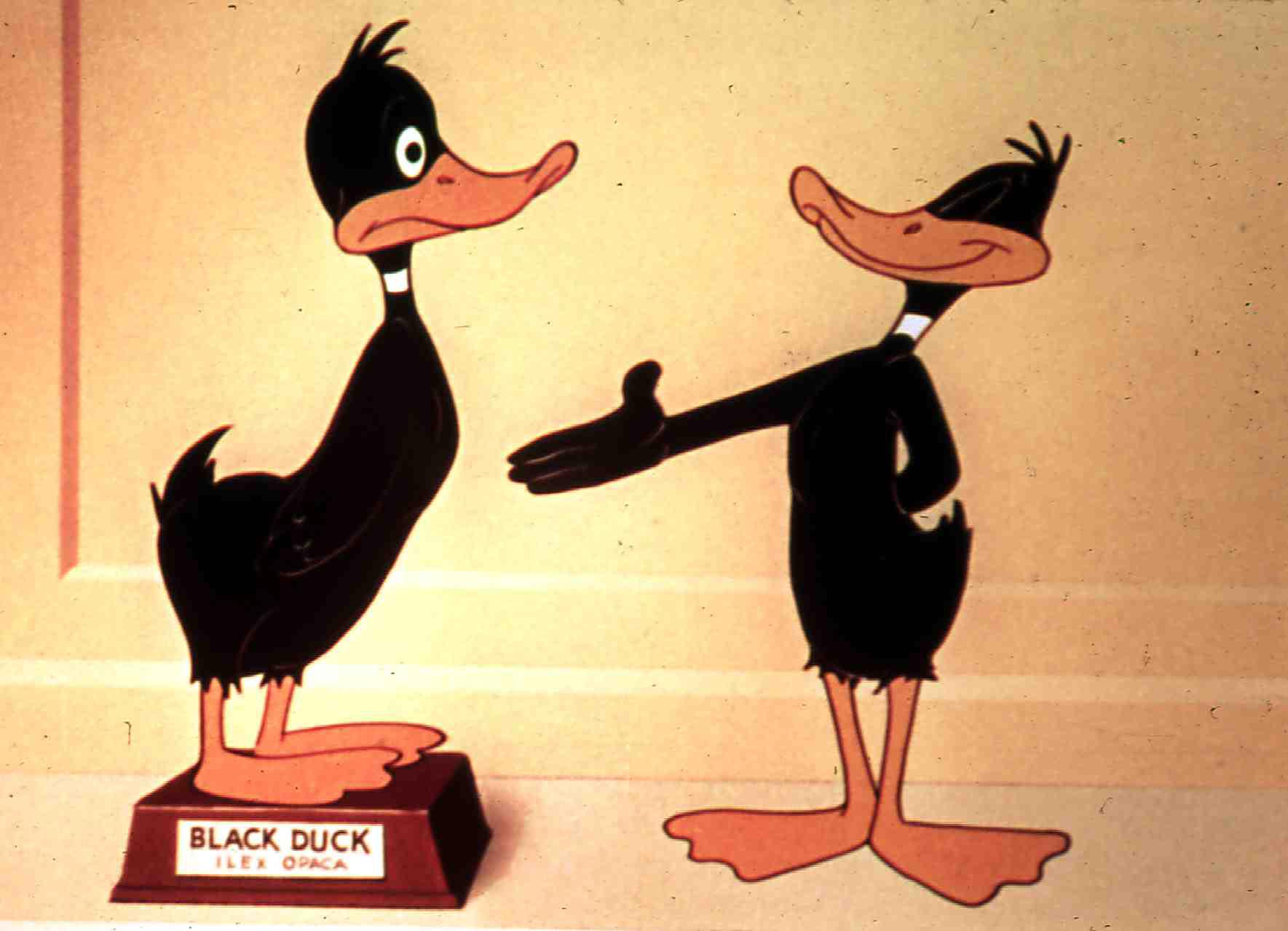 Daffy Ducks Phantastische Reise, Daffy Duck's Movie: Fantastic I