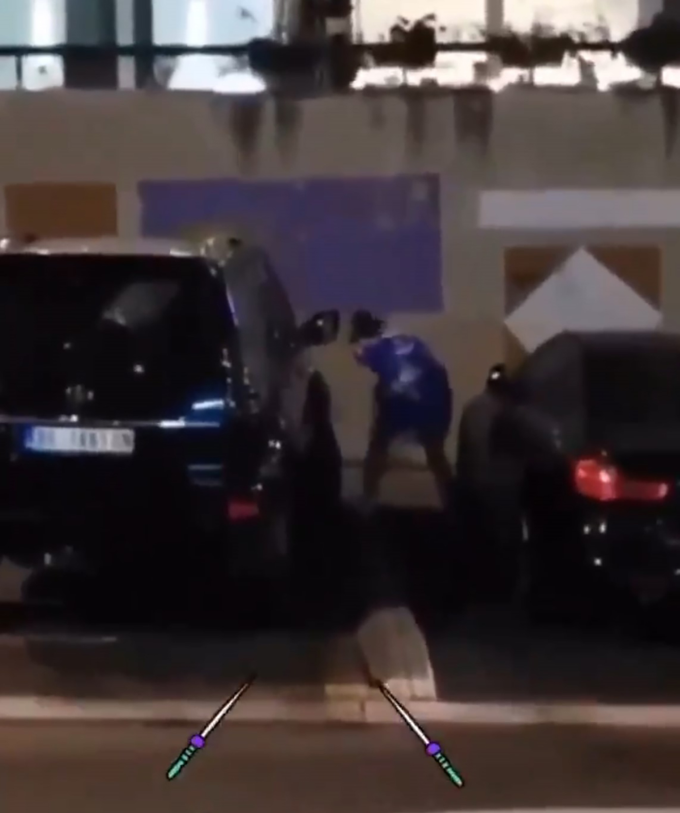 Ljupka Stević Foto: Printscreen/Twitter/Sumo ratnik/@Debela_zvezda