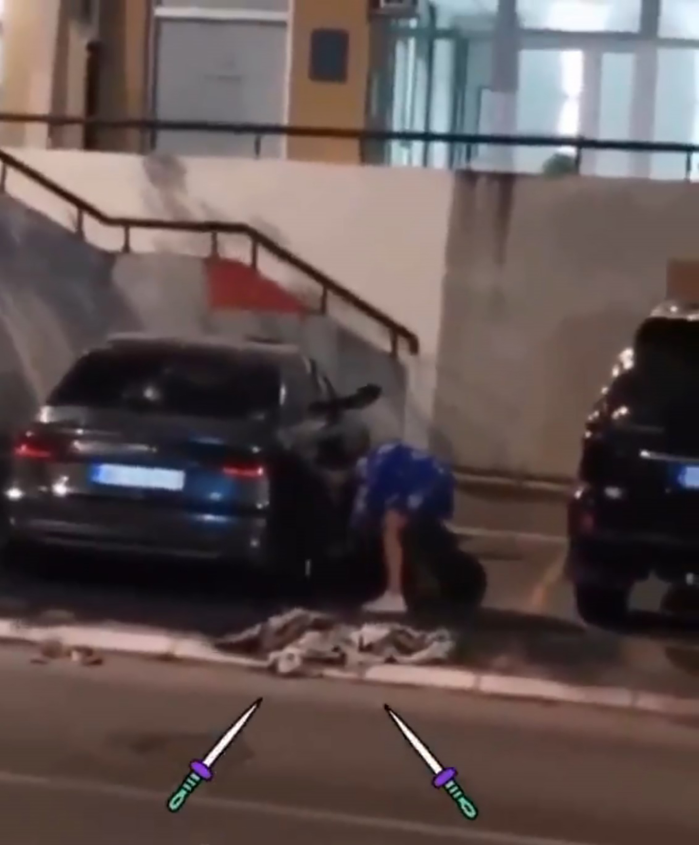 Ljupka Stević Foto: Printscreen/Twitter/Sumo ratnik/@Debela_zvezda