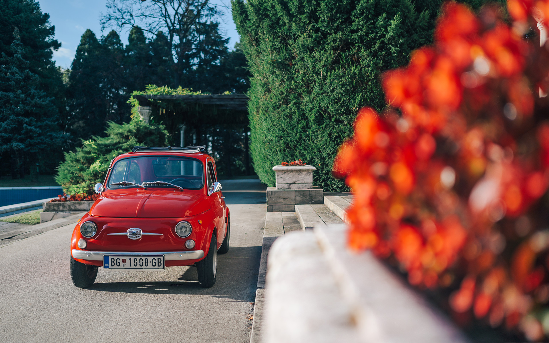 Fica foto Milos Nikodijevic (3)