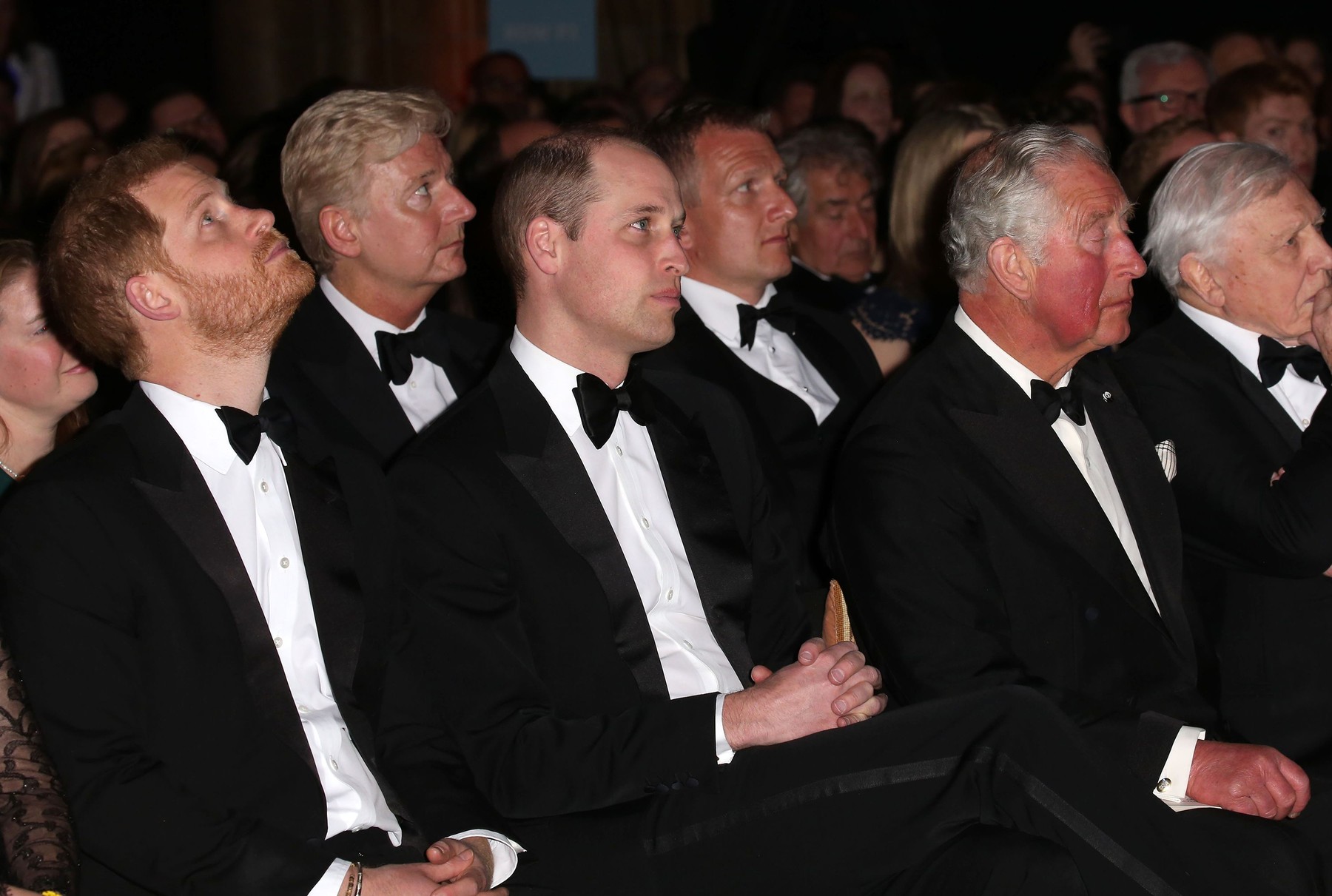 Prince Charles, William &amp; Harry attend 'Our Planet' Premiere