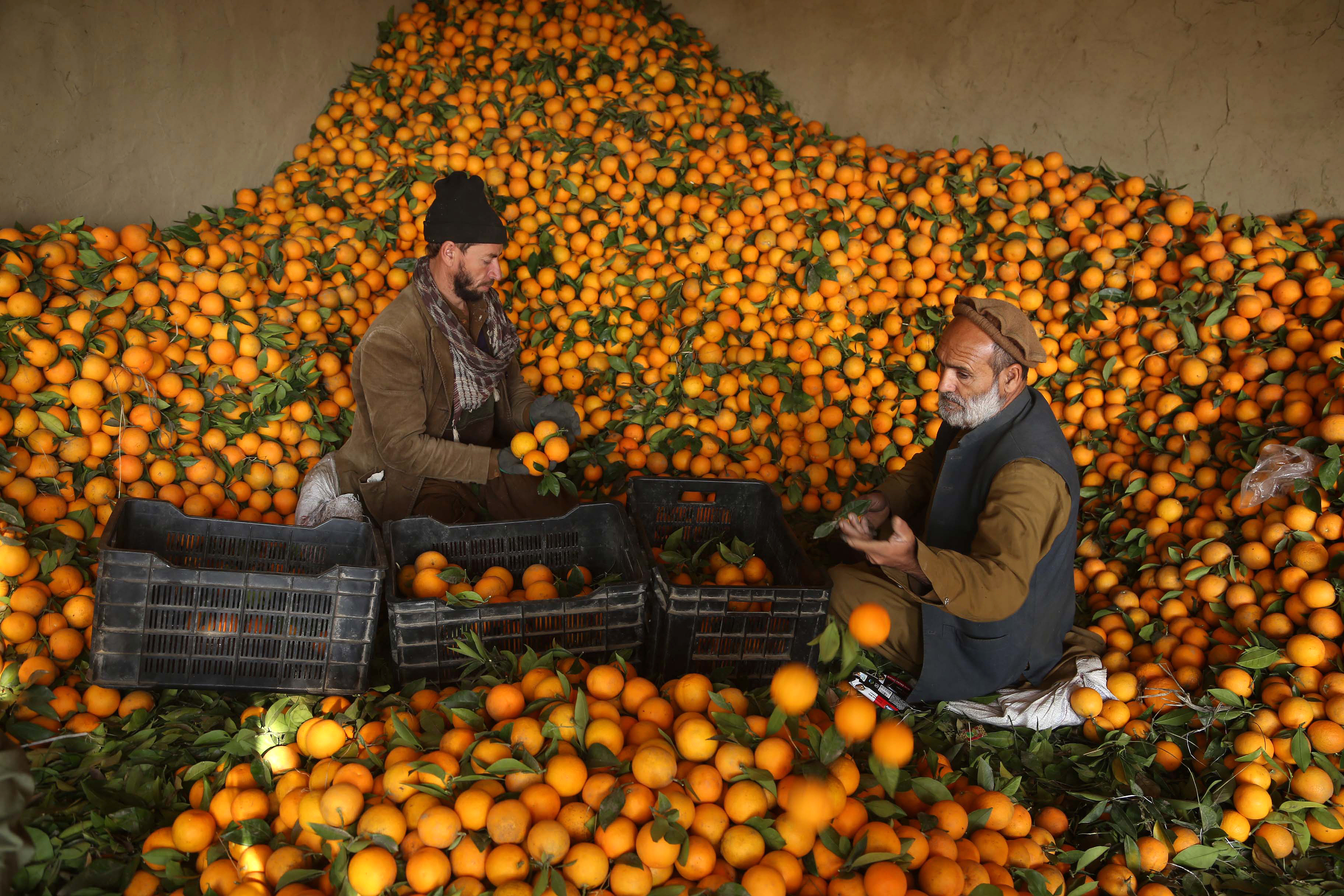 Najbolje fotografije 4 12 2020   Orange market in Afghanistan